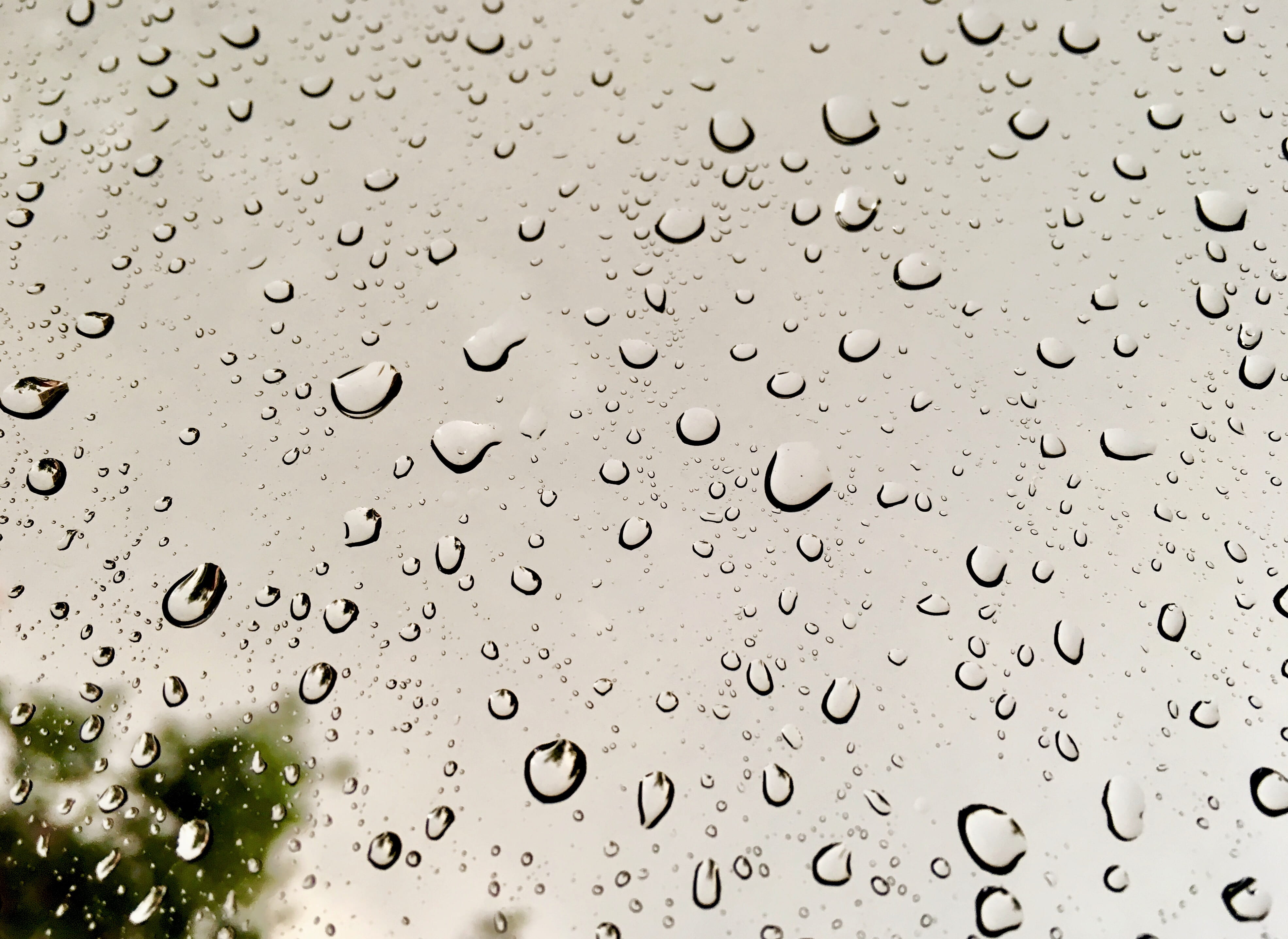 clear, dew, drop, liquid, droplets, landsape, purity, no people, rainy season, raindrop, full frame, h2o, water, 4K, glass - material, raindrops, waterdrops, HD Wallpaper