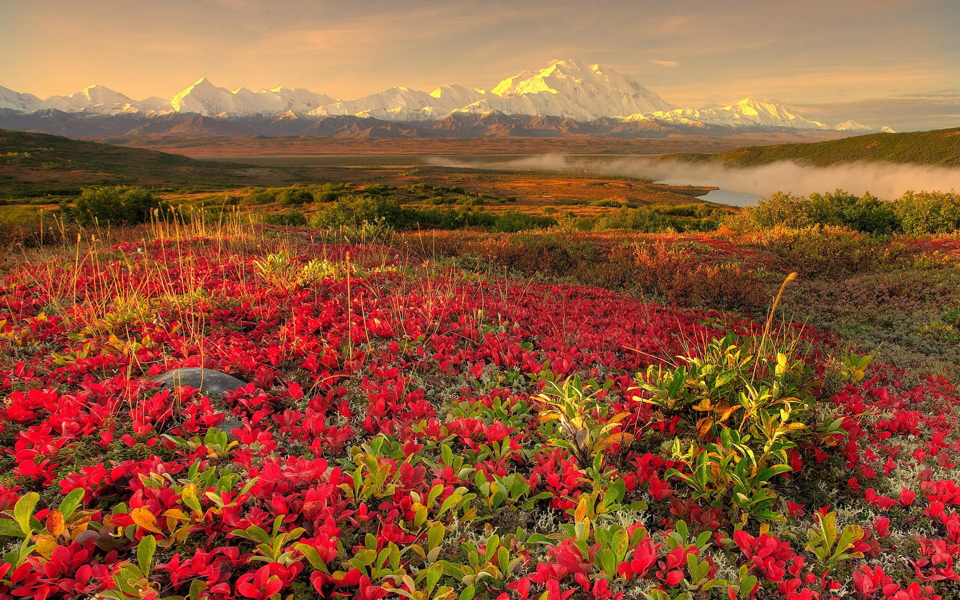 1080P, view, beautiful, nature, area, landsapes, landscape, look, sky, HD Wallpaper