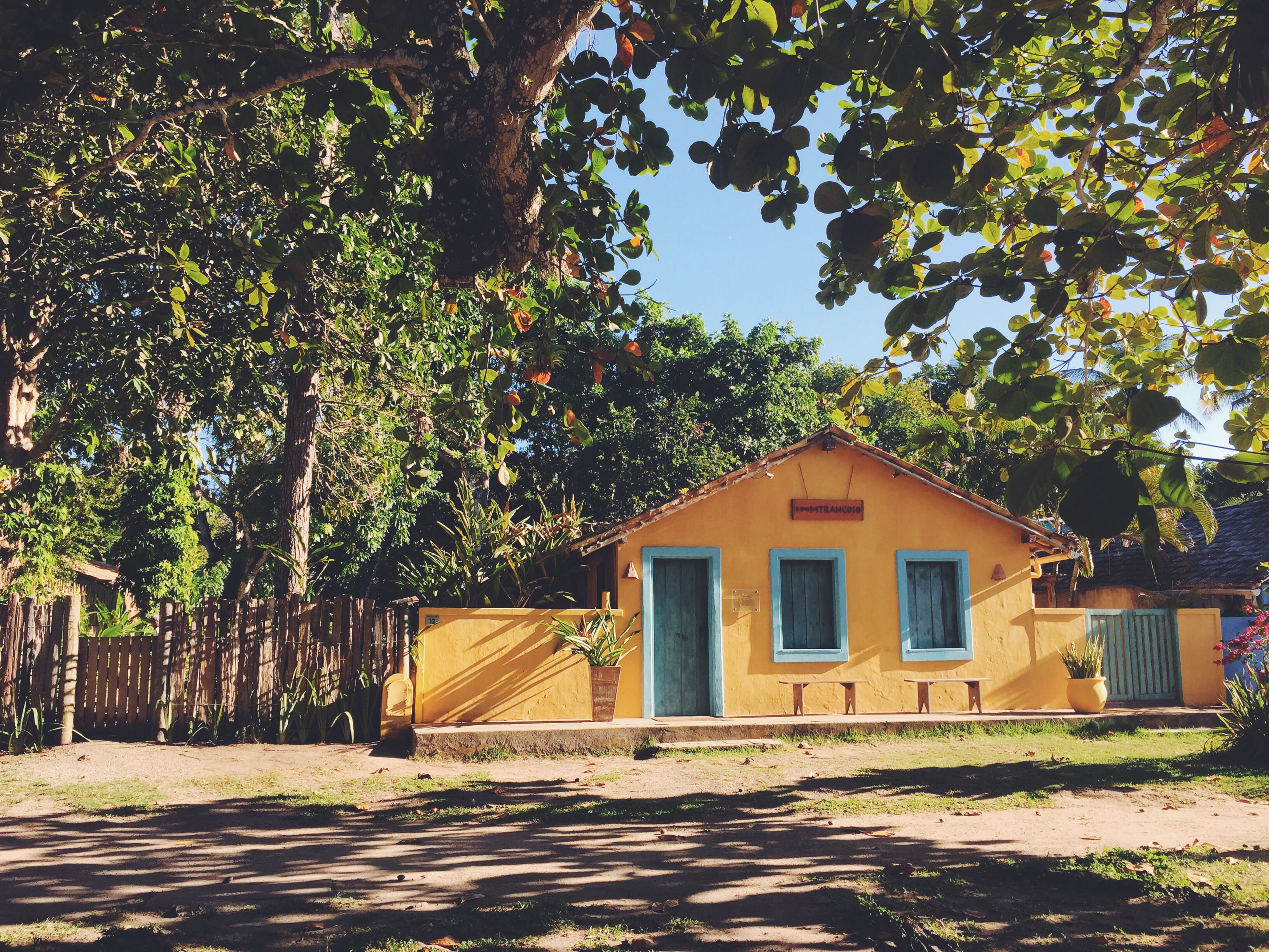 summer, bahia, trancoso, branch, beach town, plant, day, summertime, small town, sky, brasil, building, shadow, 2K, nature, green color, brazil, tree, HD Wallpaper