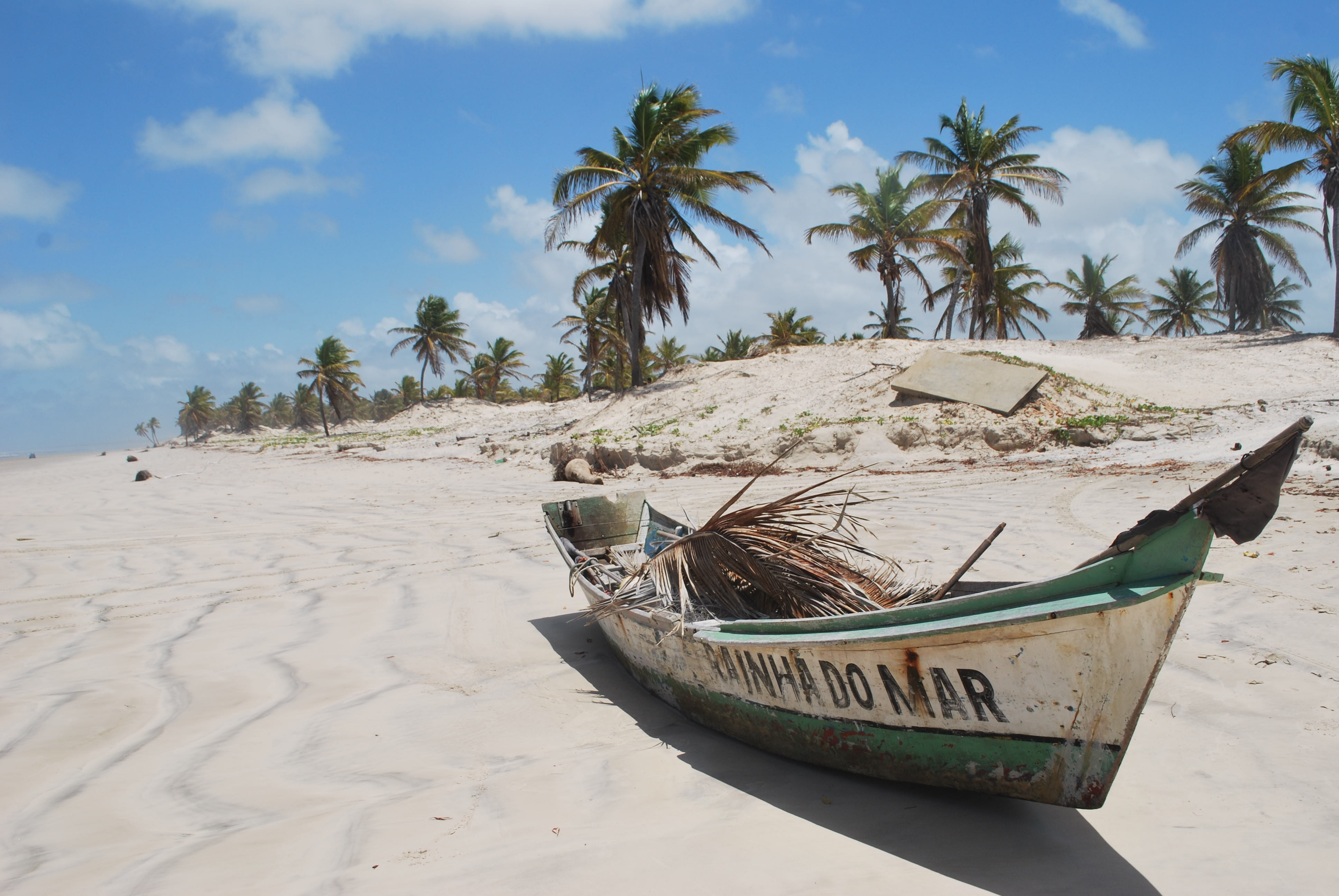 4K, plant, tranquil scene, sky, coconut palm tree, mode of transportation, tropical climate, land, moored, palm tree, scenics - nature, nature, summer, HD Wallpaper