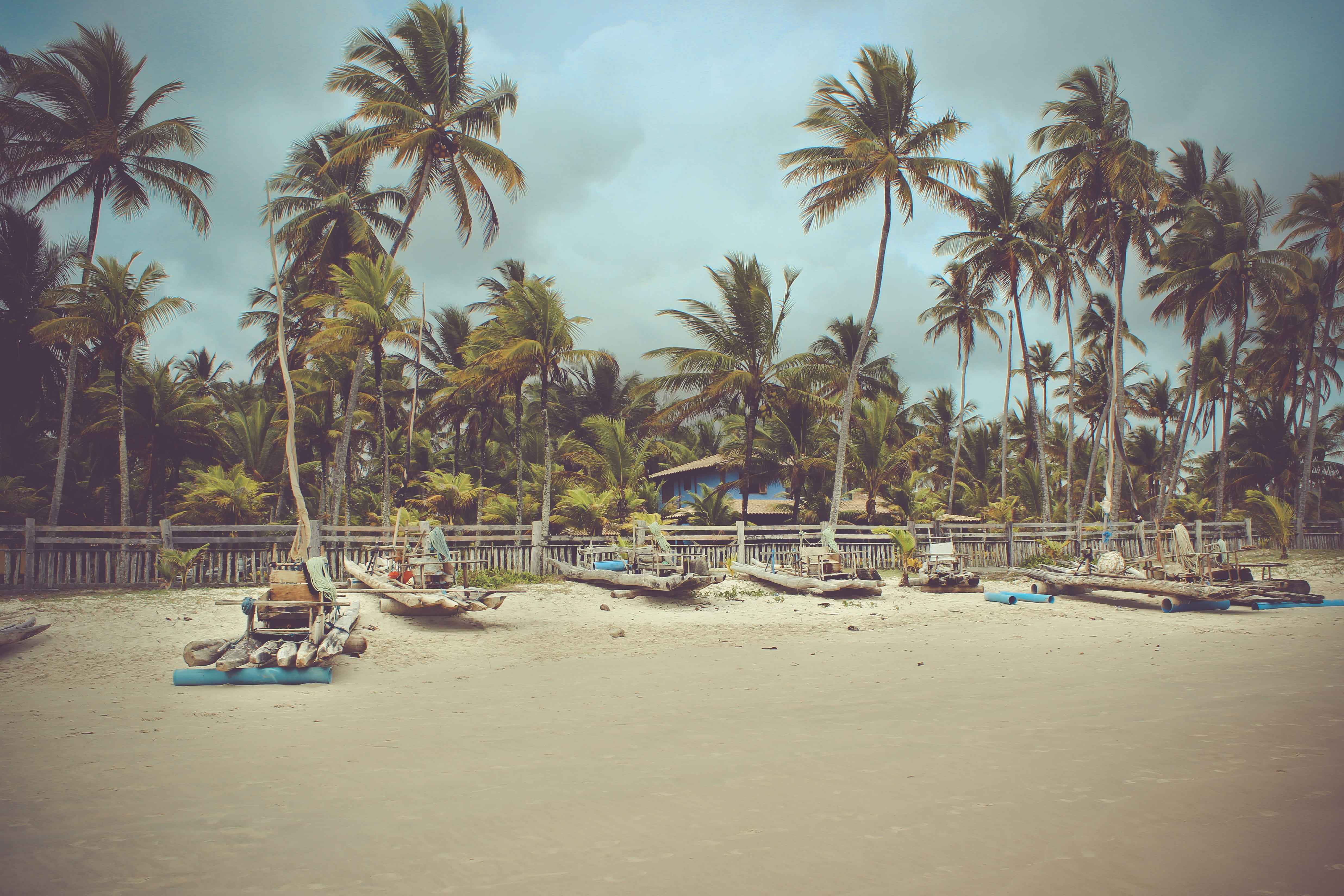 transportation, beach, land, coconut palm tree, moored, outdoors, nature, mode of transportation, plant, bahia, tropical tree, day, tranquil scene, sky, HD Wallpaper