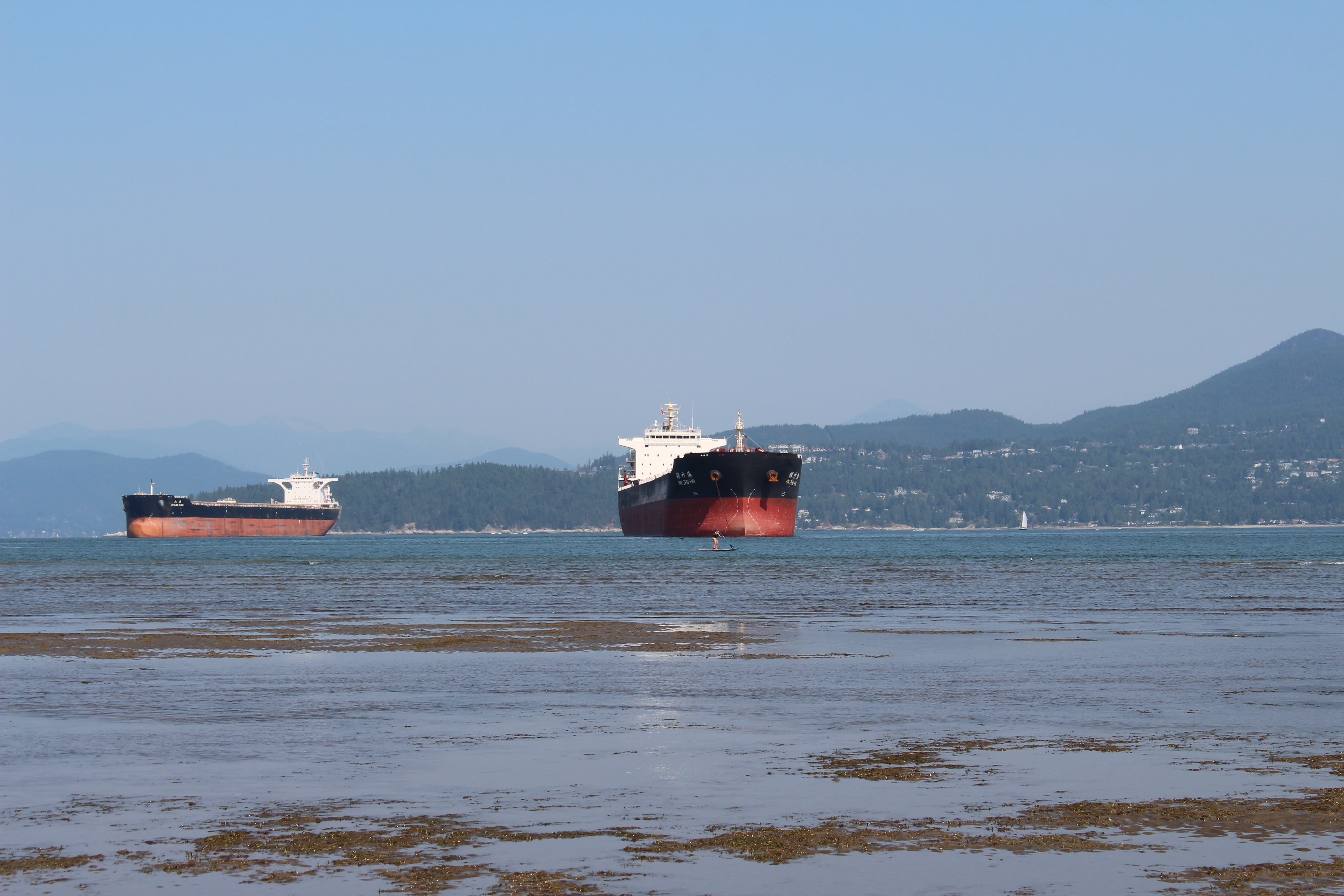 british columbia, ships, canada, business, water, vancouver, coast, tourism, passenger craft, seascape, coastal, copy space, city, bc, scenics - nature, HD Wallpaper