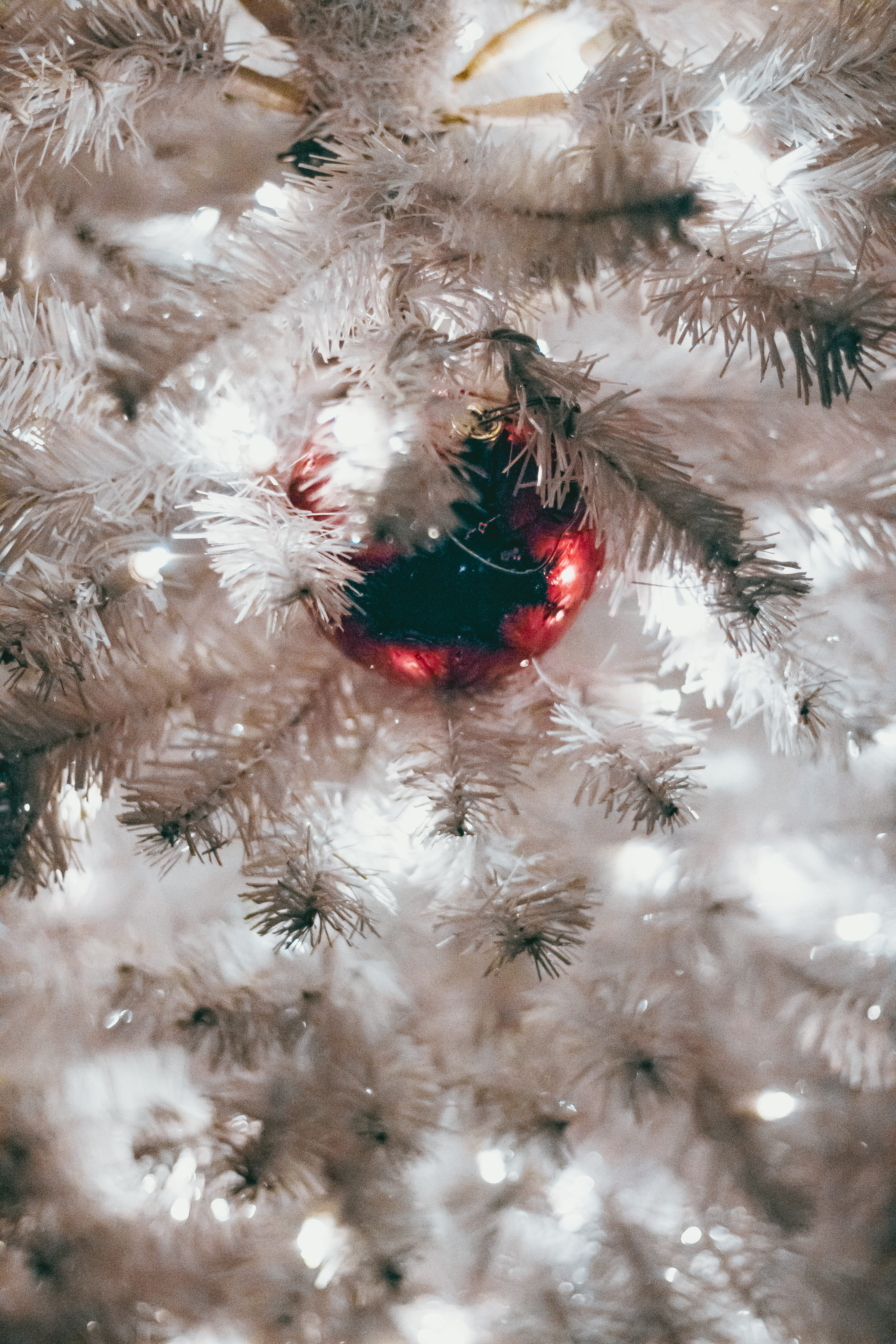 ornament, advent, santa, holiday, decoration, abies, tree, white, new year, ice, shiny, conifer, hanging, bauble, snow, holiday - event, red, indoors, nature, Phone HD Wallpaper