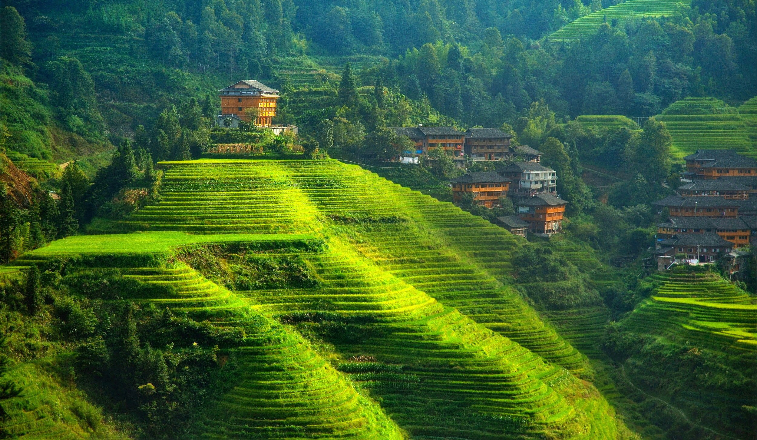 1080P, terraced field, China, landscape, hills, HD Wallpaper
