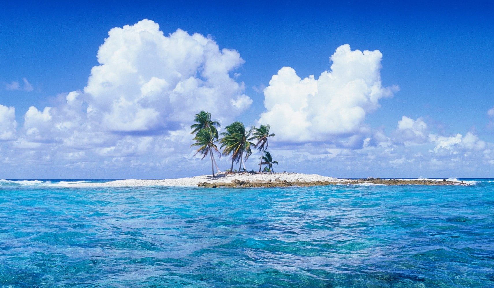 clouds, land, beach, horizon over water, nature, coconut palm tree, day, island, cloud - sky, outdoors, tropical, scenics - nature, tropical climate, plant, HD Wallpaper