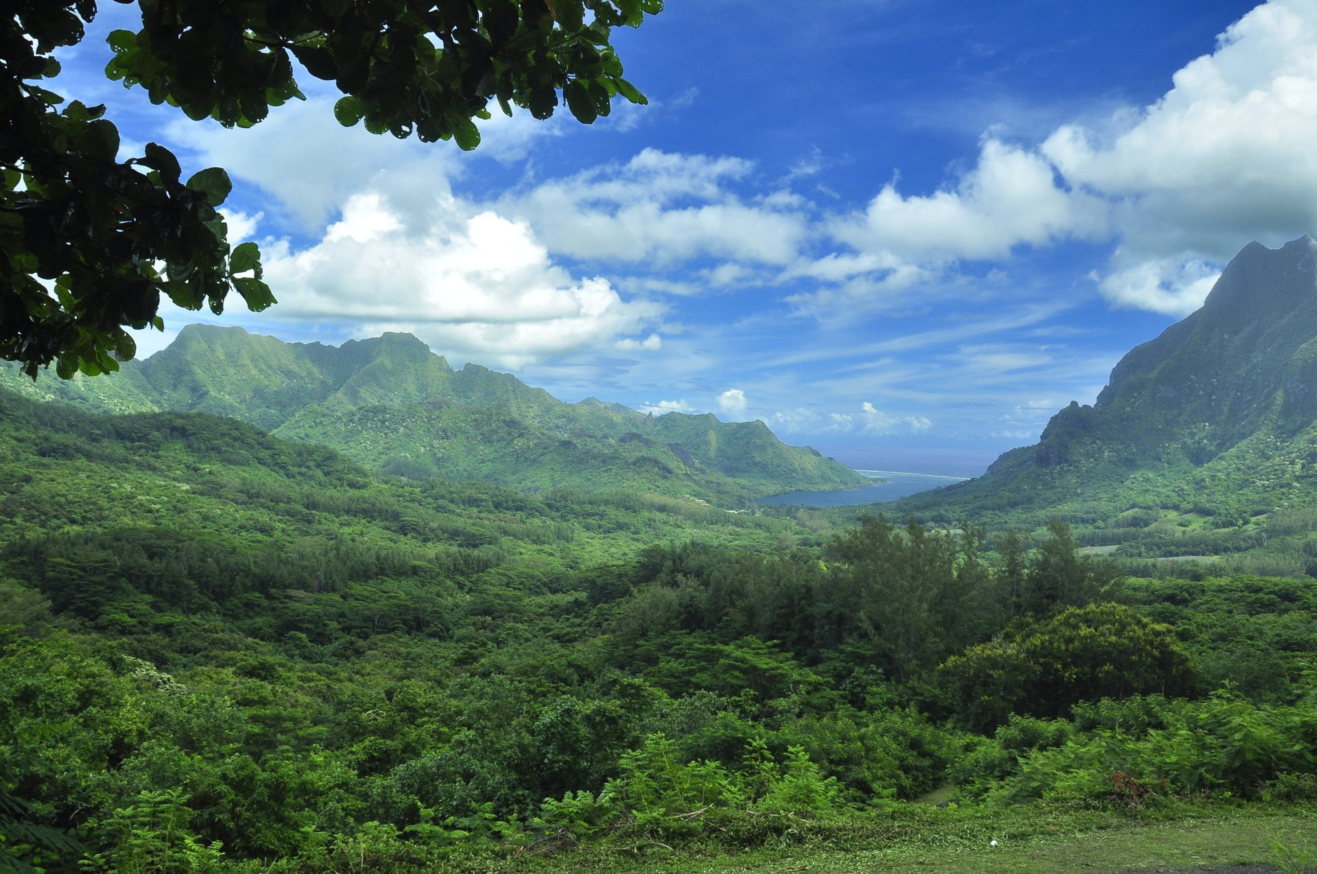 Tropics, Landscape, Moorea, 1080P, Earth, Island, Tahiti, French Polynesia, HD Wallpaper