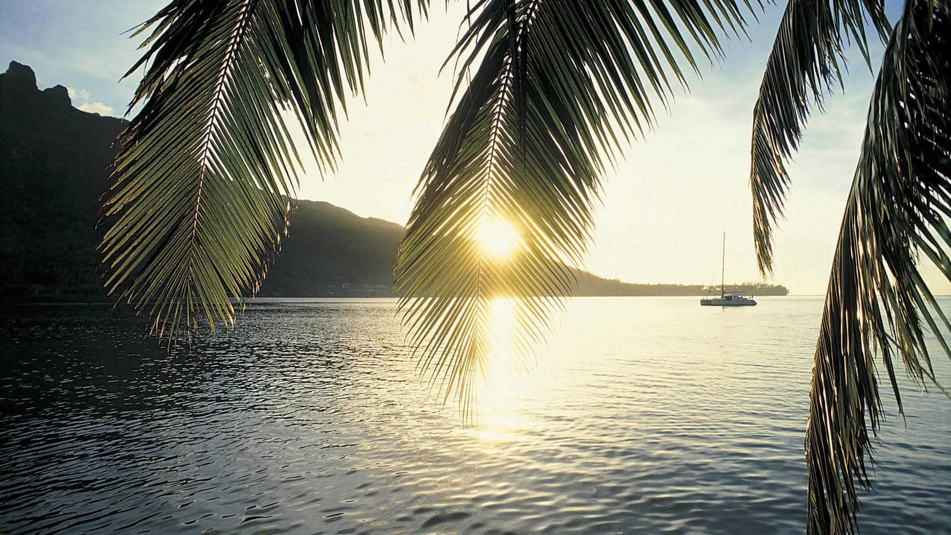 moorea, nature and landscapes, mountain, bay, sunset, 1080P, isl, palms, polynesia, cooks, boat, HD Wallpaper