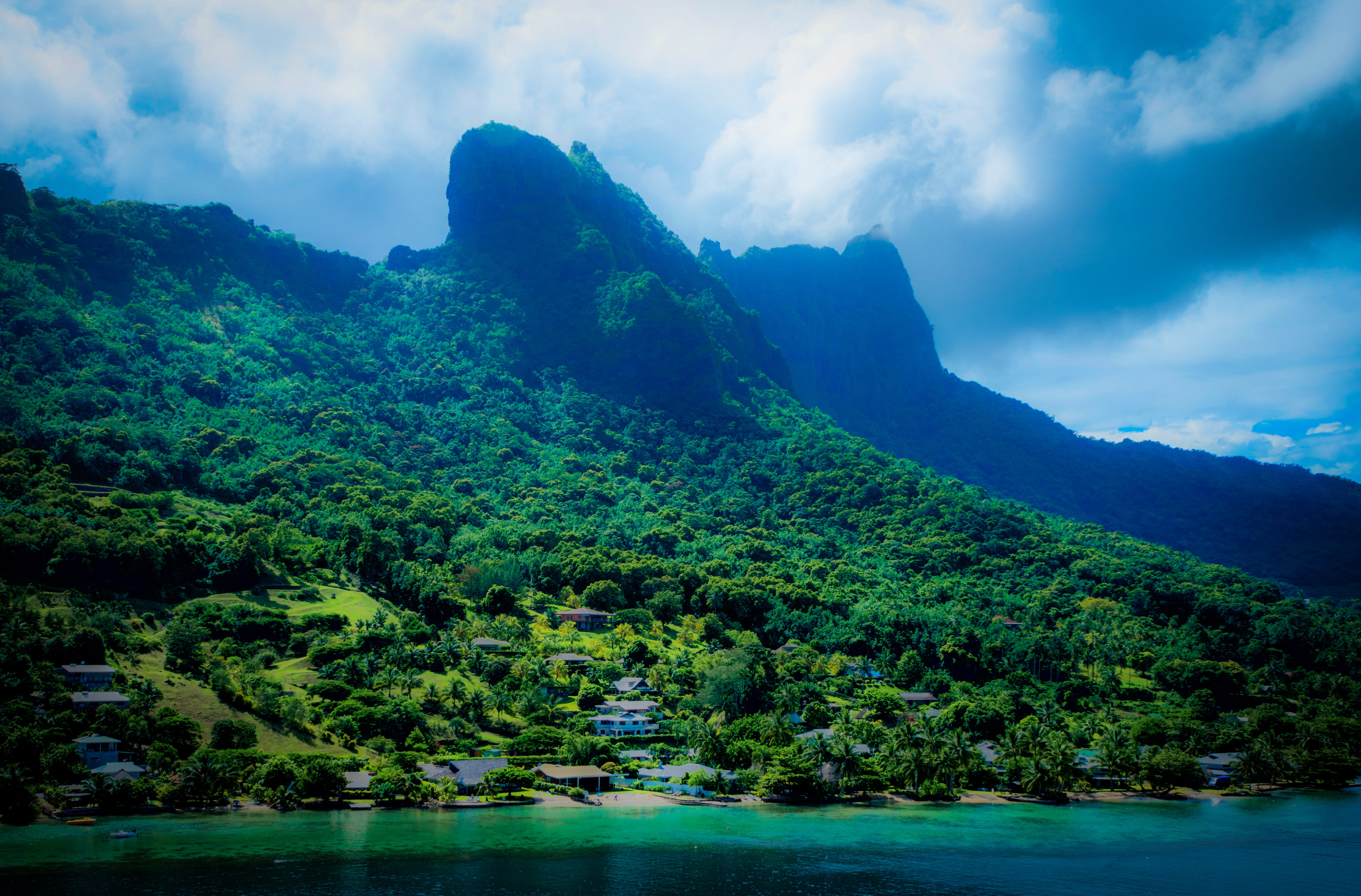sea, mountain, tropical, tree, non-urban scene, exotic, french polynesia, scenics - nature, green, idyllic, landscape, island, plants, cloud - sky, leafed, HD Wallpaper