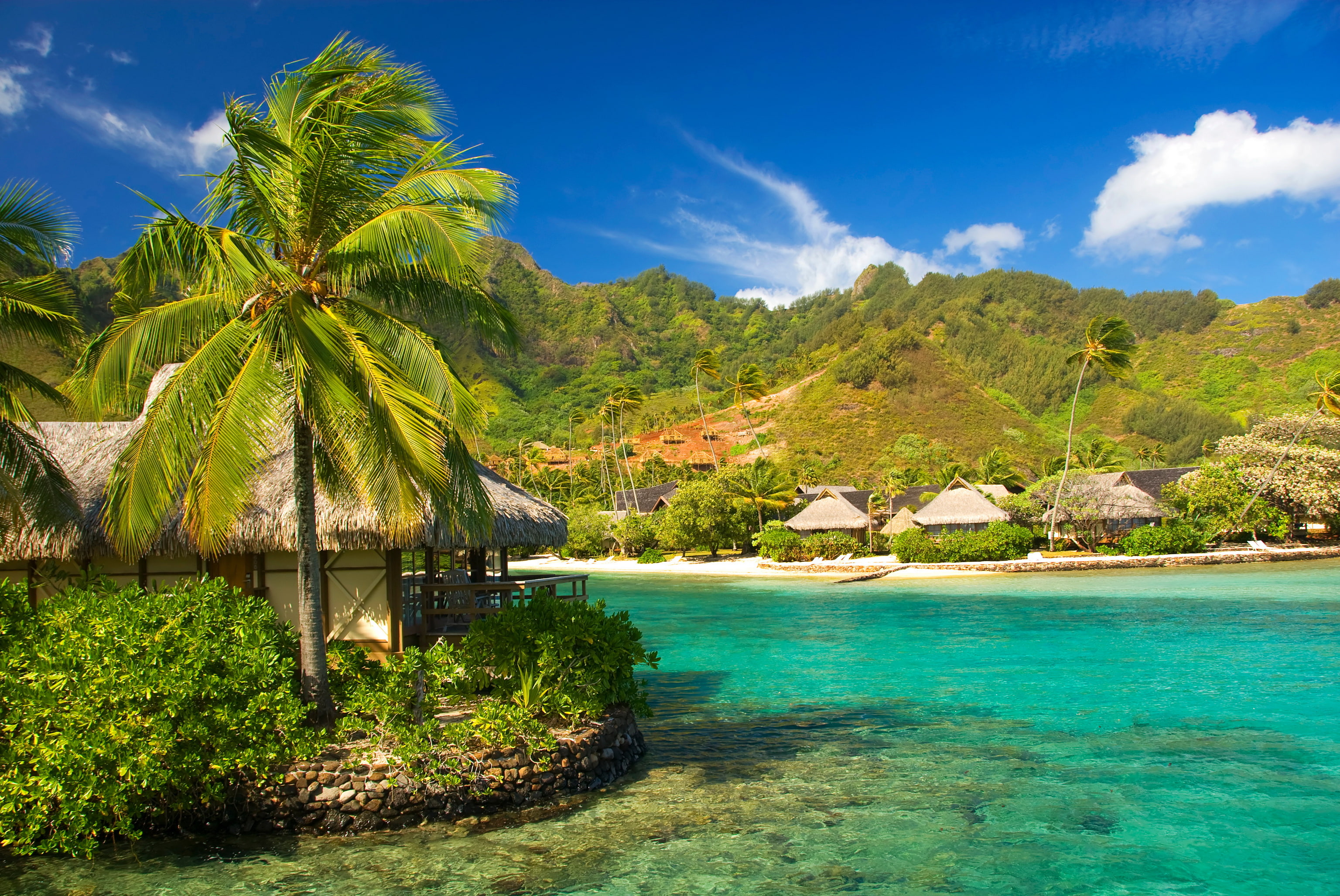 palma, french, sea, 2K, moorea, tropics, polynesia, HD Wallpaper