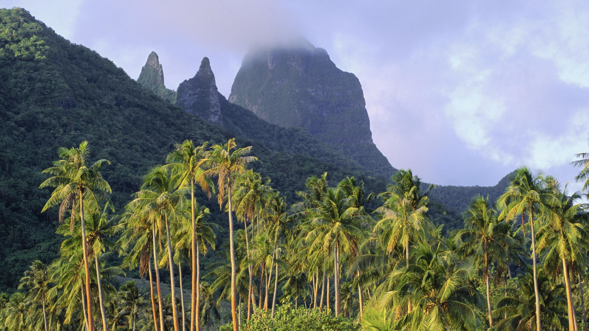 french, polynesia, 1080P, mount, moorea, HD Wallpaper