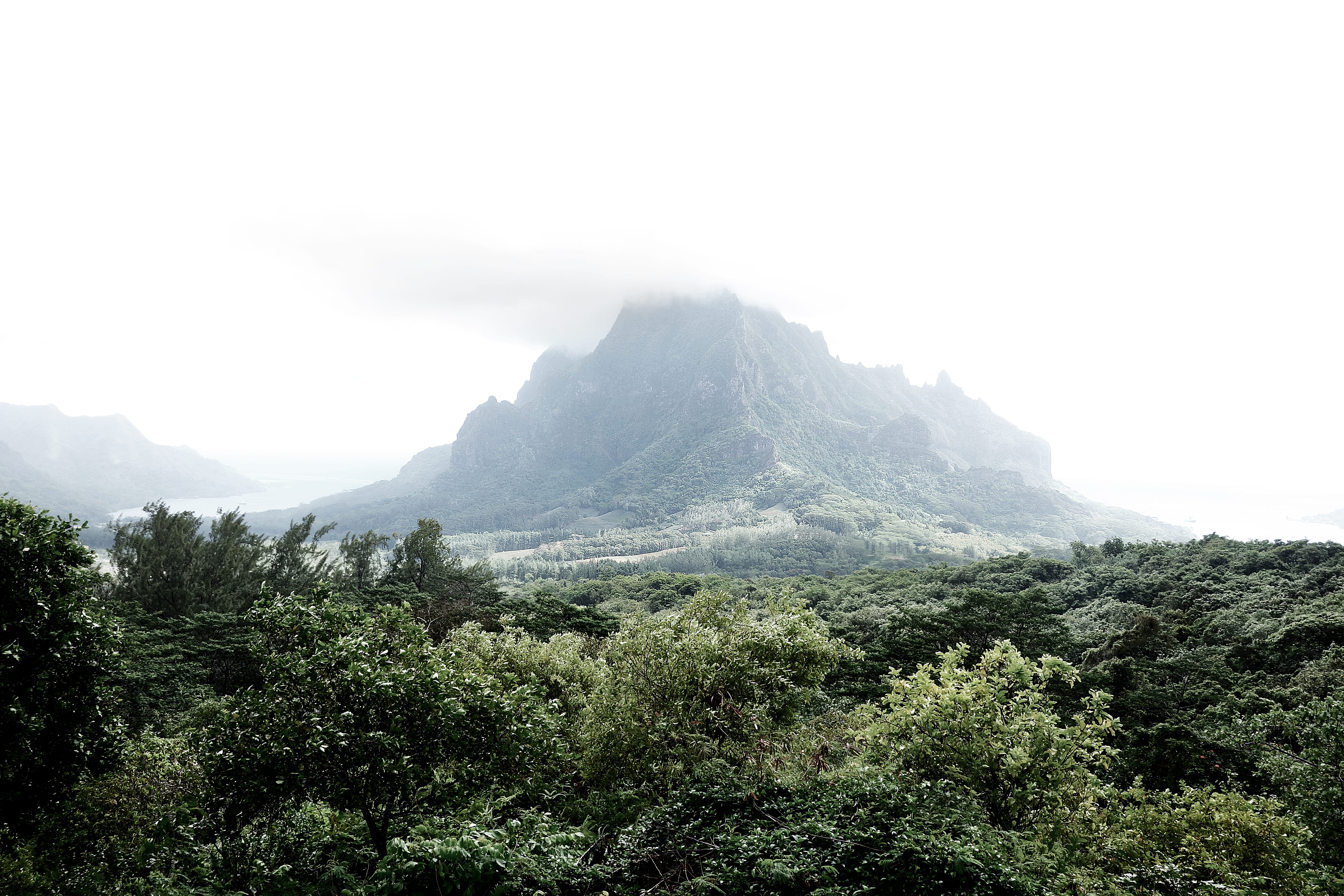 plant, trees, non-urban scene, tranquility, mountain range, nature, environment, green color, no people, mountain, forest, sky, trip, tranquil scene, moorea, HD Wallpaper
