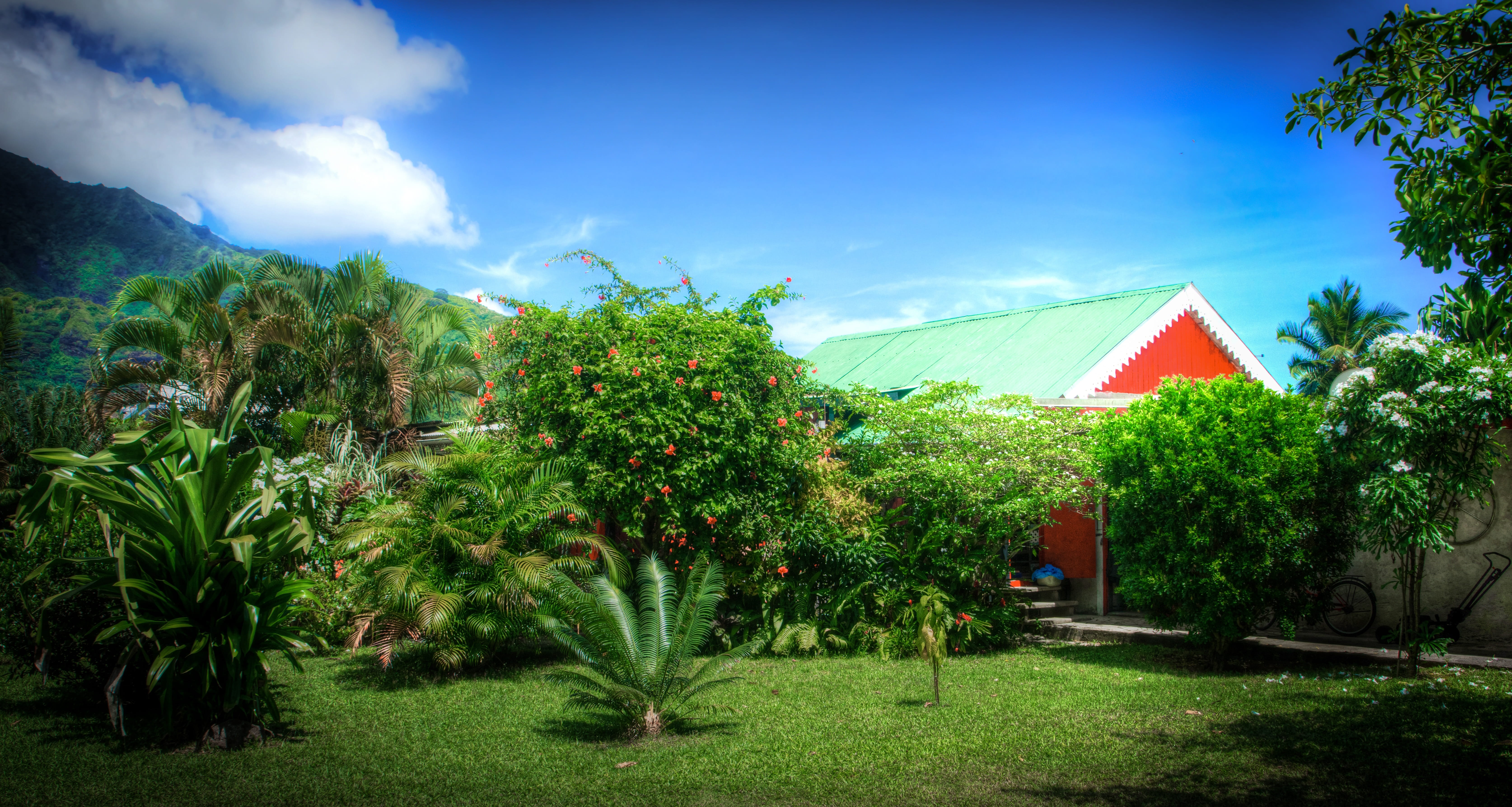 agriculture, growth, 5K, outdoor, tranquility, Nature, palm tree, no people, cloud - sky, moorea, green color, architecture, tropical climate, Mountain, HD Wallpaper