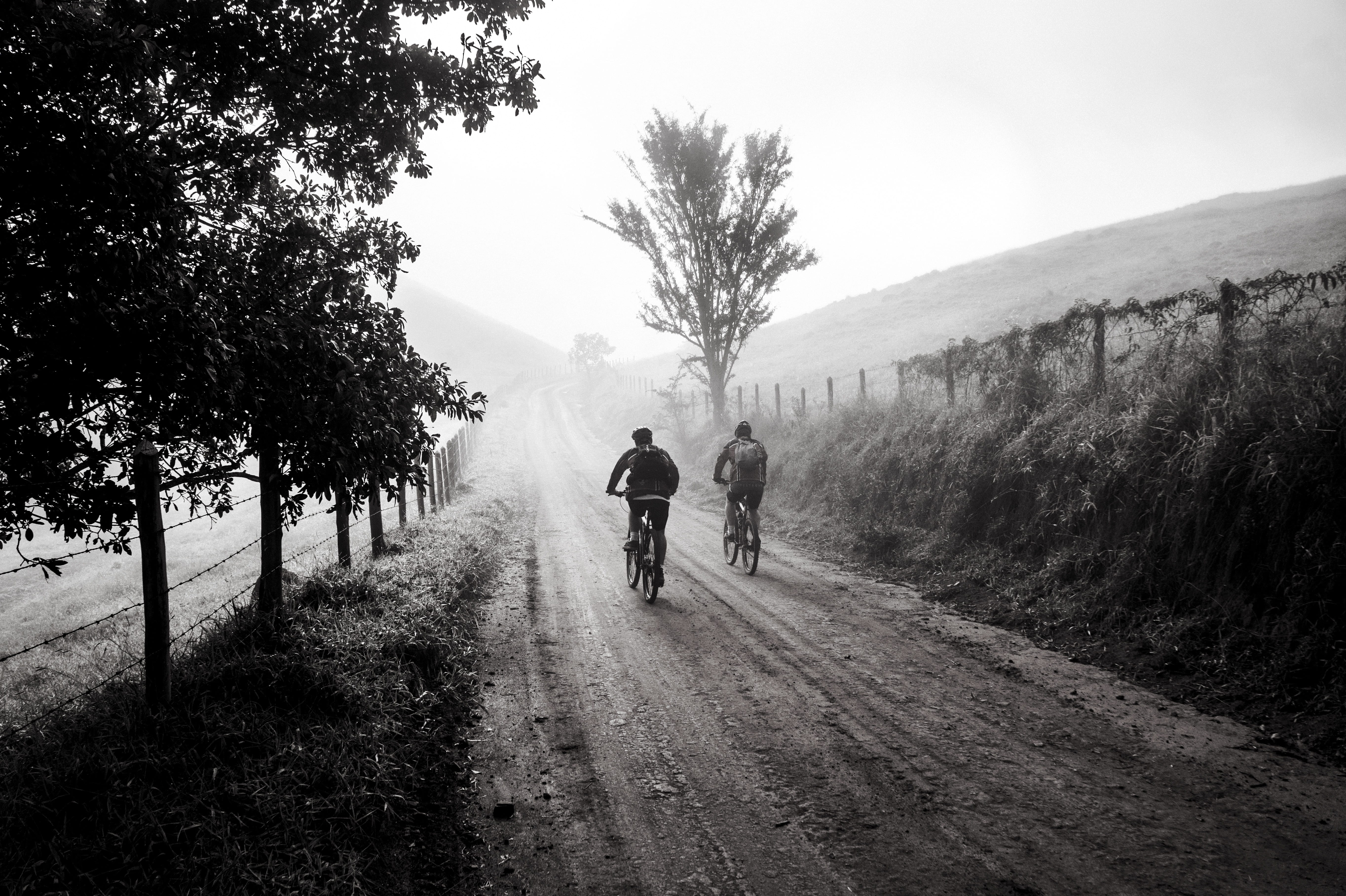 leisure activity, trail, holidays, trip, real people, two, fog, walking, togetherness, sport, adventure, tree, riding, outdoors, landscape, plant, brazil, HD Wallpaper