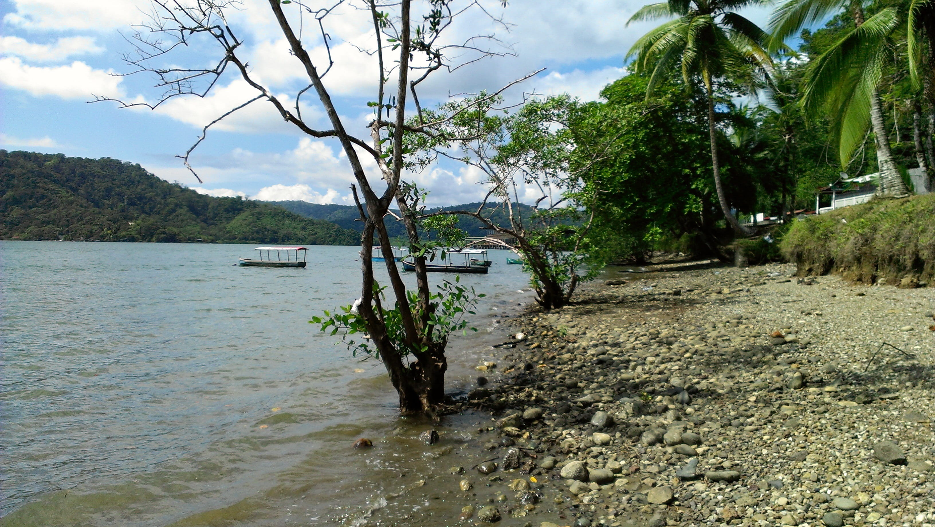 costa rica, water, 2K, tree, beautiful puerto golfito, scenic, coastline, sea, green color, no people, tranquility, beach, outdoors, environment, coastal, HD Wallpaper