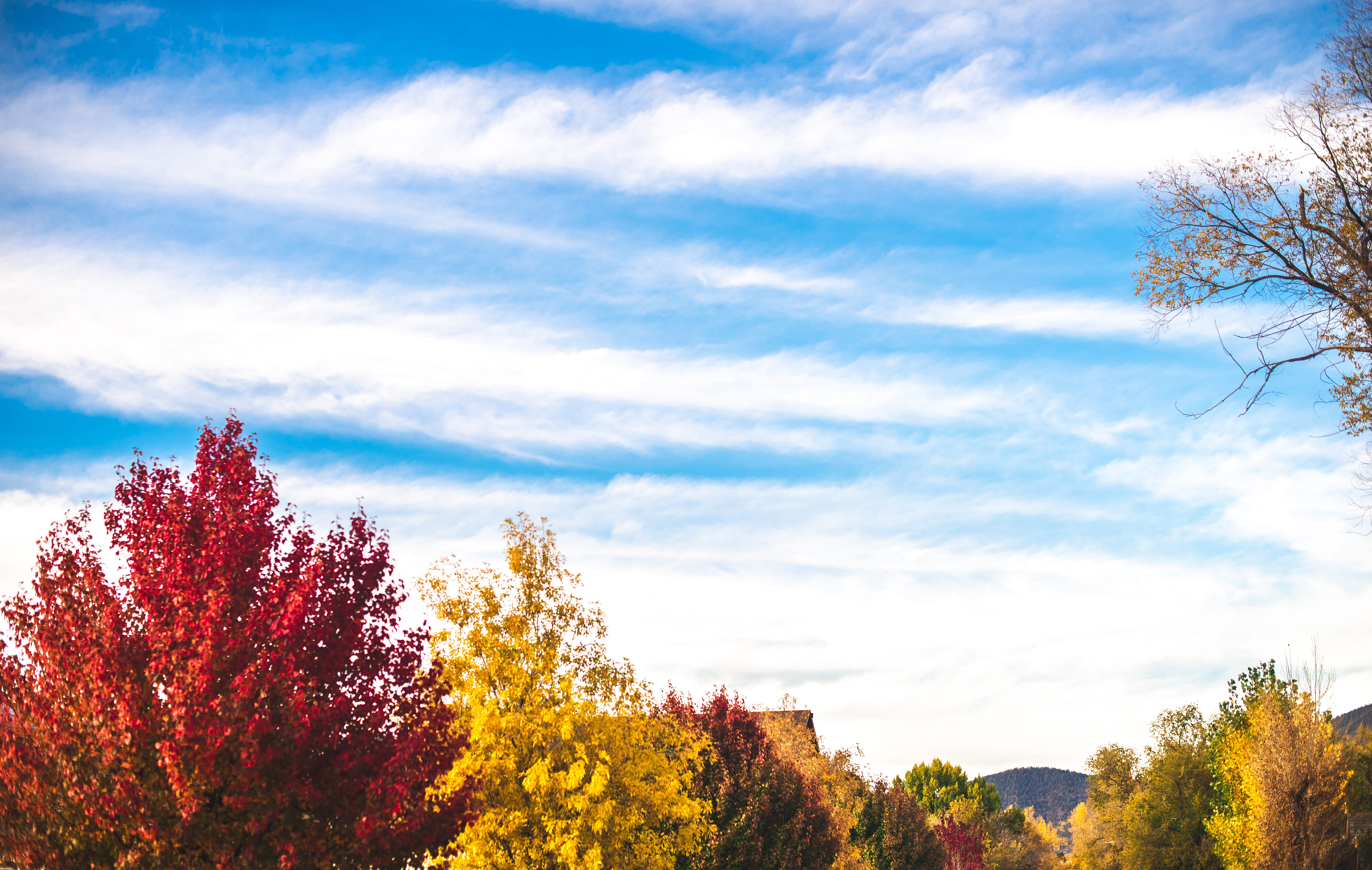 red, sky, growth, tranquility, land, day, flagstaff, no people, change, scenics - nature, leaf, beauty in nature, low angle view, united states, tree, yellow, HD Wallpaper