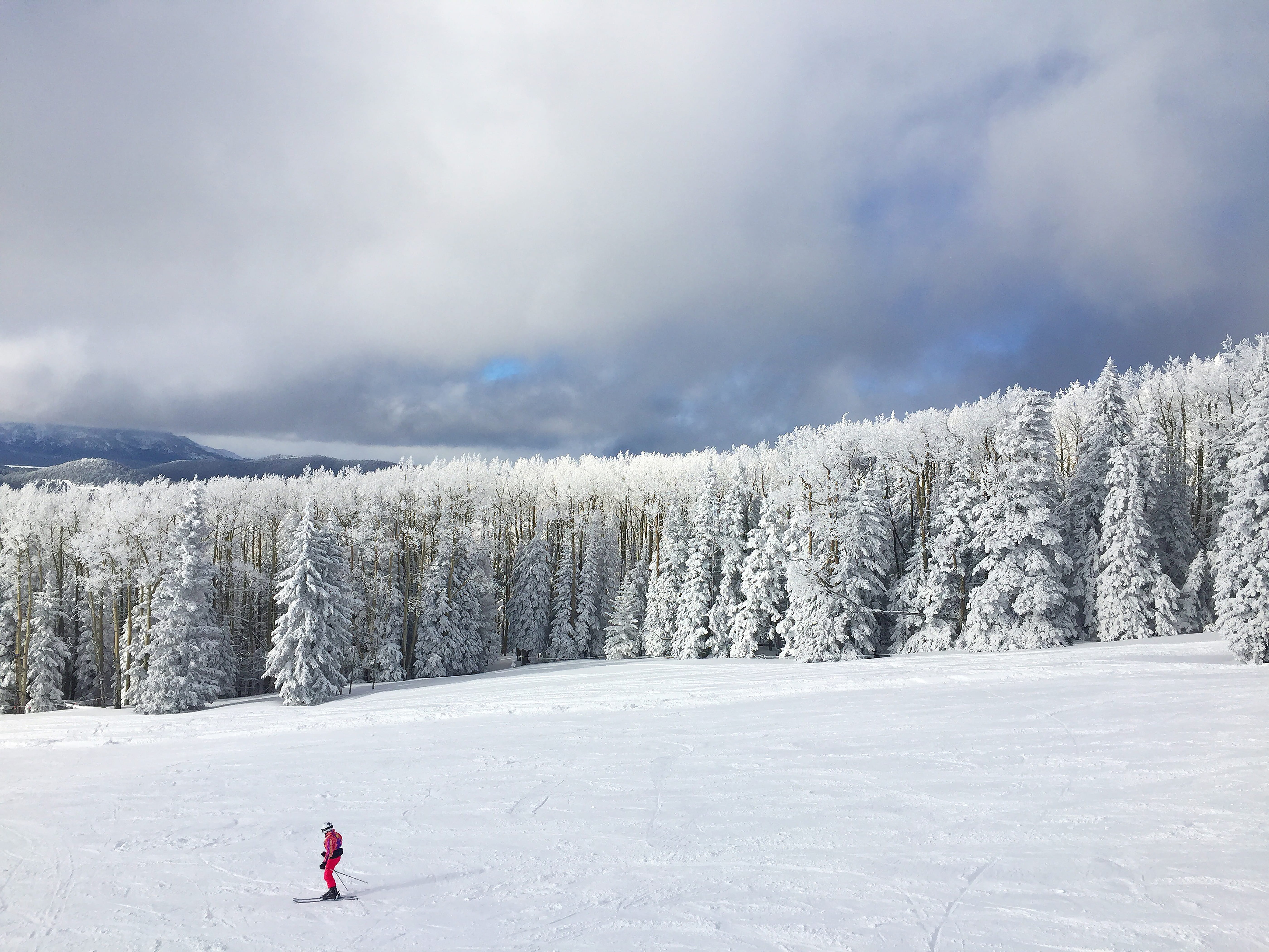 one person, cloud - sky, leisure activity, ski, snow bowl road, scenics - nature, plant, beauty in nature, cold temperature, pines, day, snow, united states, HD Wallpaper