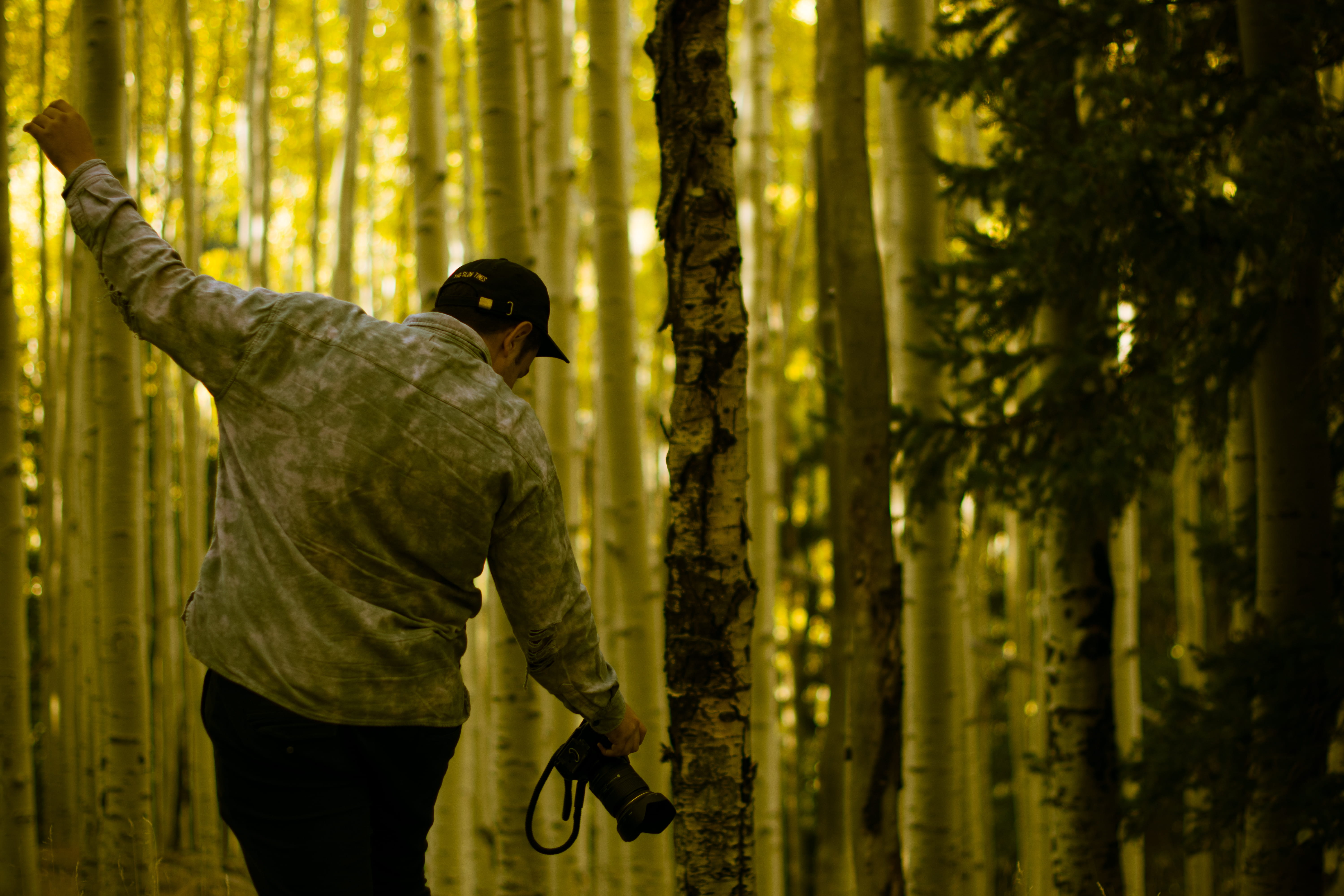 united states, plant, candid, flagstaff, trunk, 5K, art of visuals, rear view, lockett meadow campground, portrait, men, three quarter length, one person, HD Wallpaper