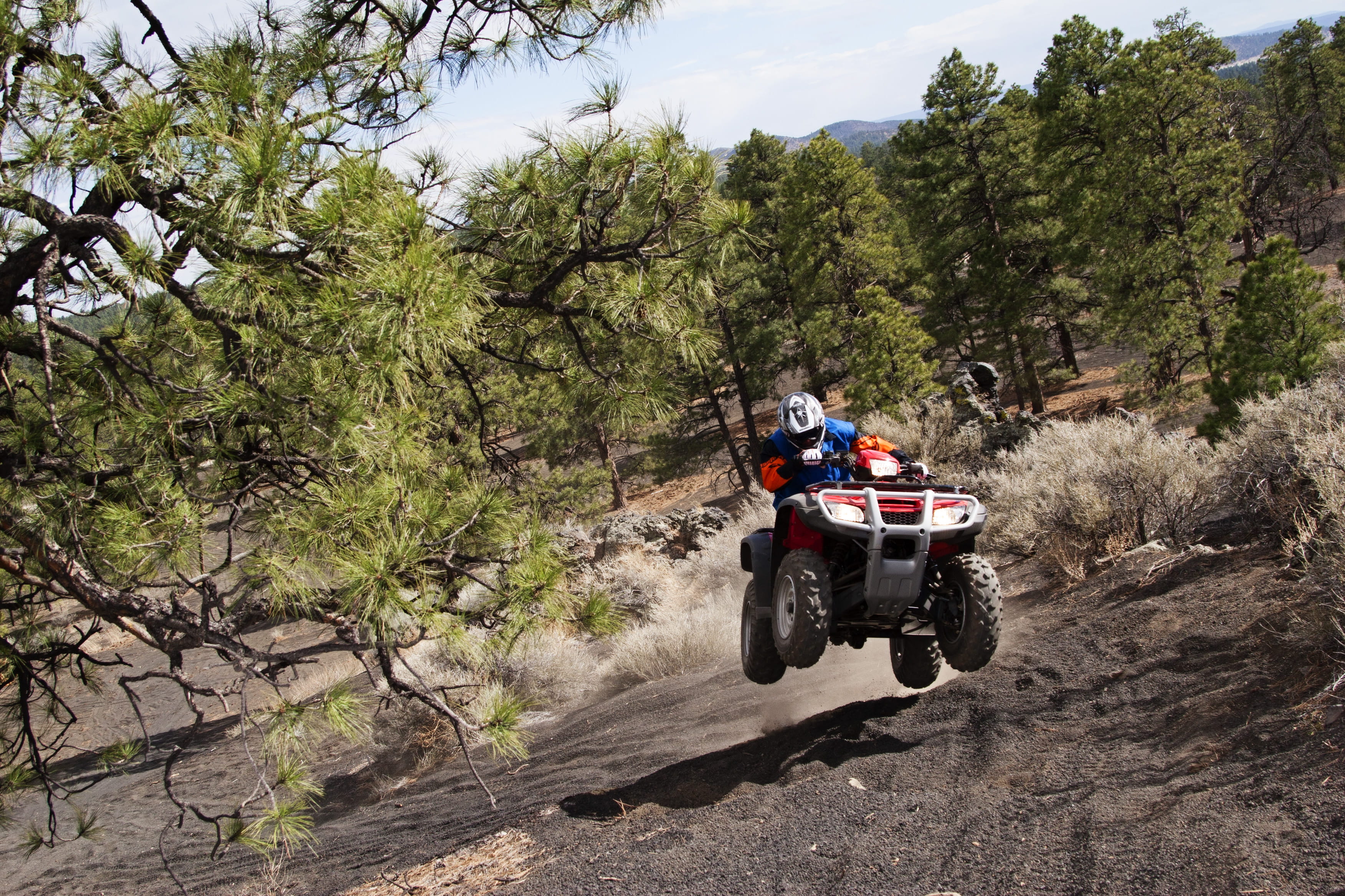 lifestyles, transportation, real people, travel, tree, flagstaff, mode of transportation, nature, outdoors, jump, adventure, 2K, atv, united states, arizona, HD Wallpaper