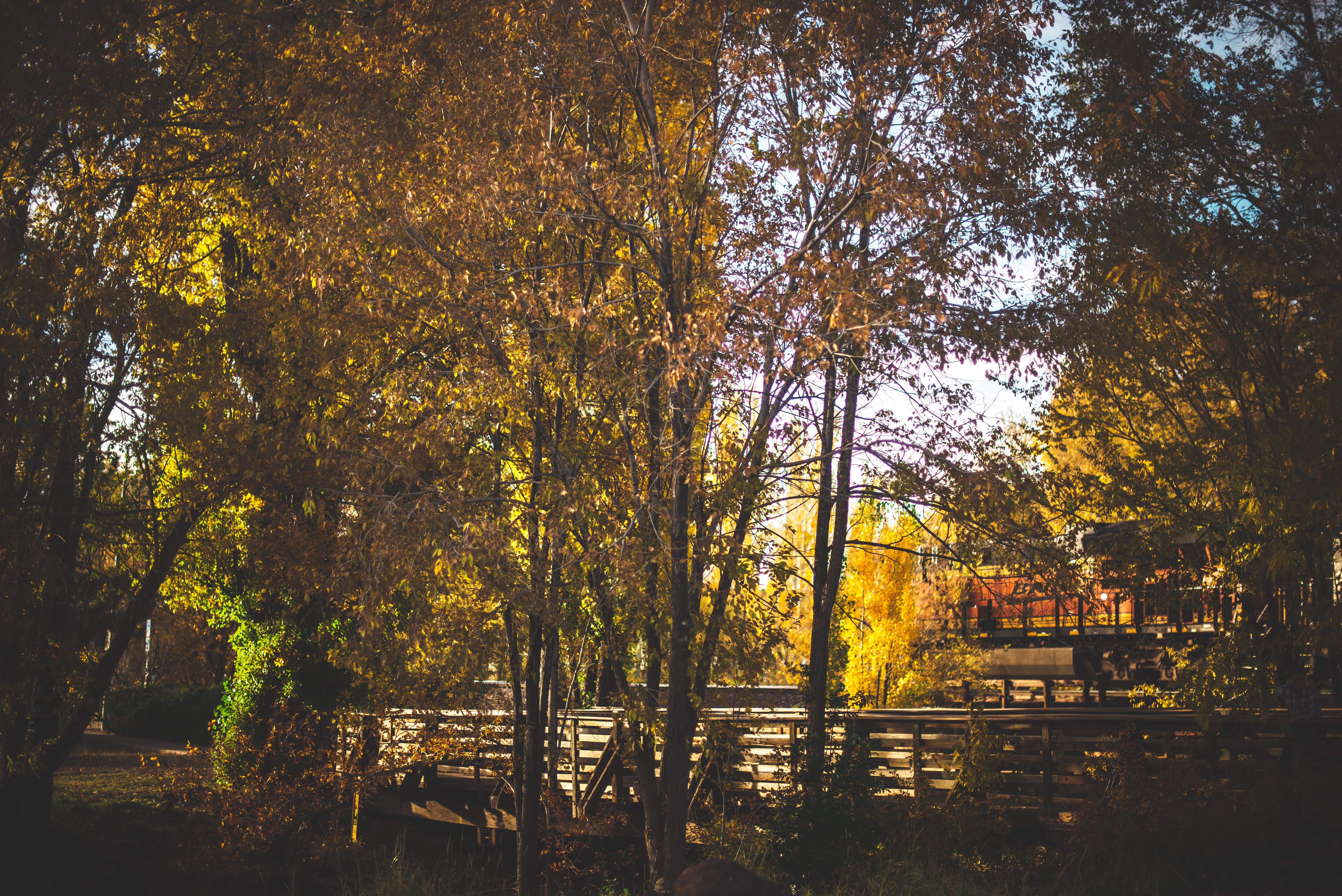 no people, architecture, beauty in nature, change, scenics - nature, plant, land, outdoors, built structure, tree, water, growth, autumn, united states, HD Wallpaper