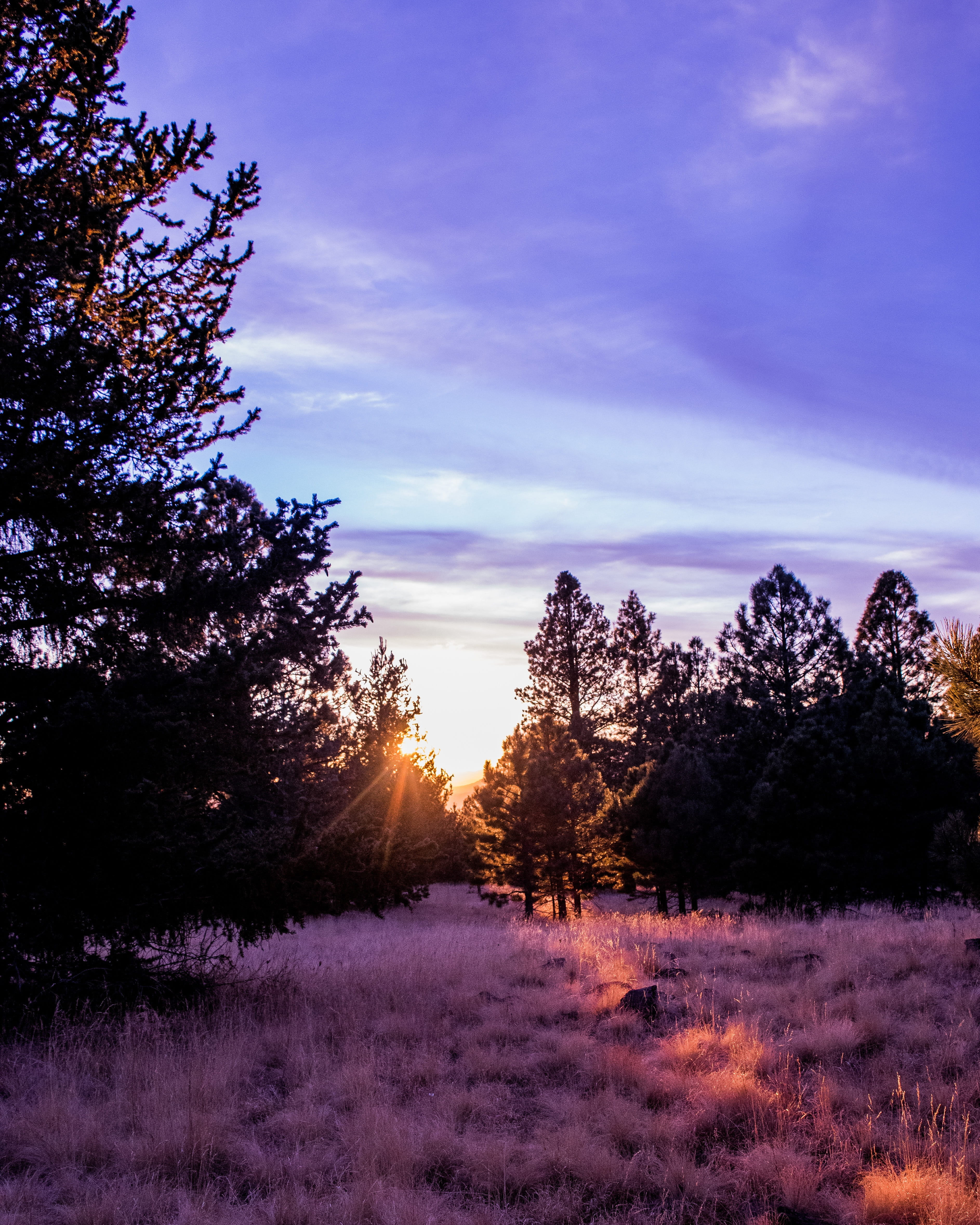 cloud - sky, non-urban scene, snobowl road, silhouette, landscape, purple, tranquil scene, beauty in nature, outdoors, environment, sky, flagstaff, 4K, Phone HD Wallpaper