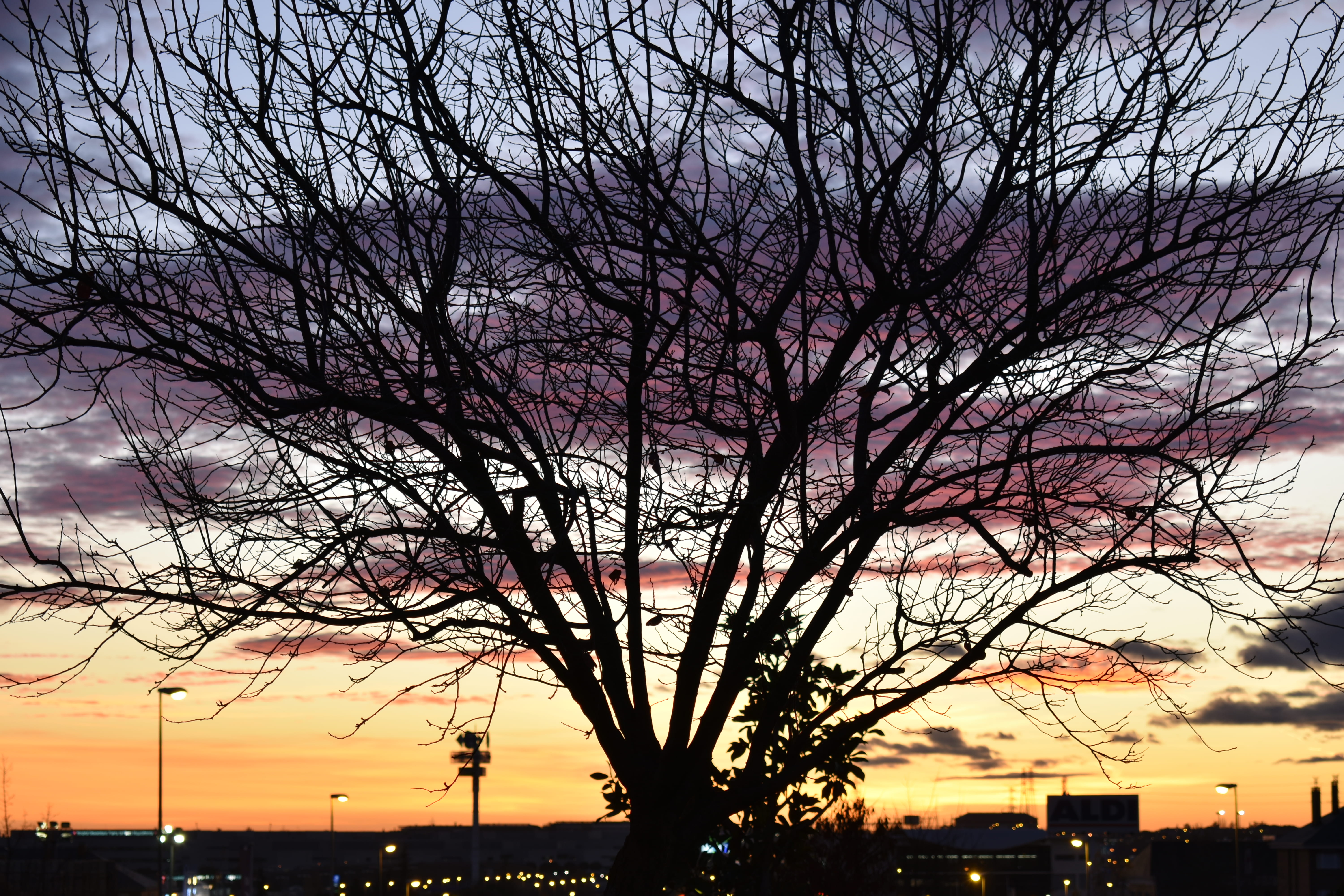sky, plant, morado, cielo, 5K, silhouette, built structure, nature, low angle view, sunset, ramas, madrid, bonito, building exterior, orange color, atardecer, HD Wallpaper