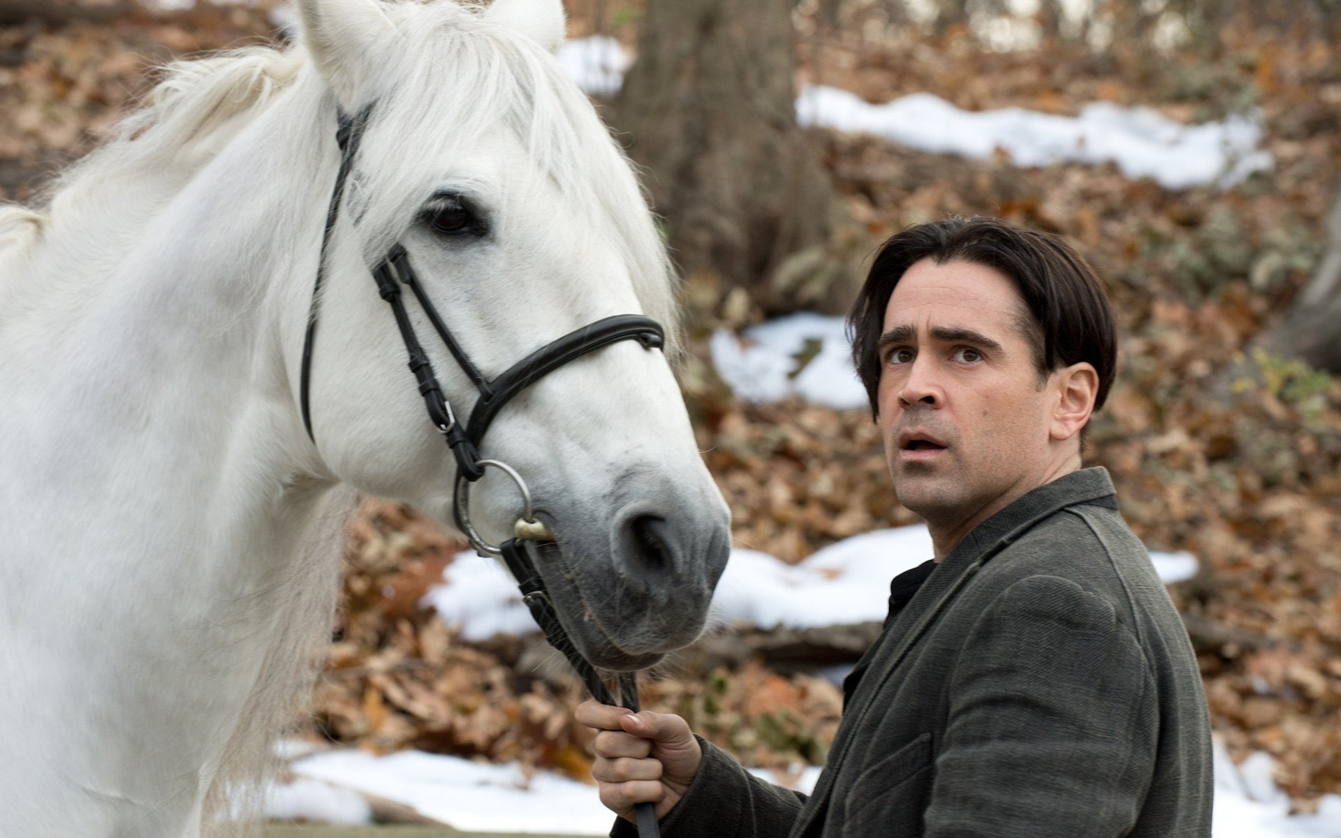 1080P, Peter Lake, Winters Tale, Colin Farrell, Movie, HD Wallpaper
