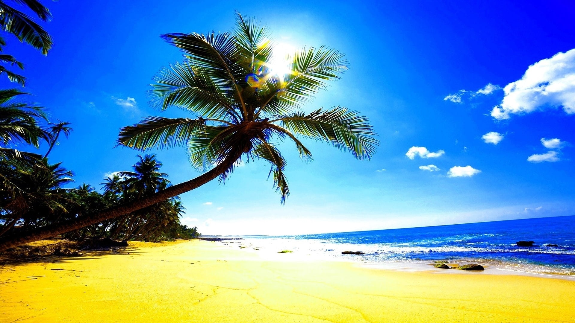 horizon over water, coconut Palm Tree, blue, travel Destinations, tropical Climate, nature, sunny, waters Edge, beauty In Nature, tranquil Scene, scenics - nature, HD Wallpaper