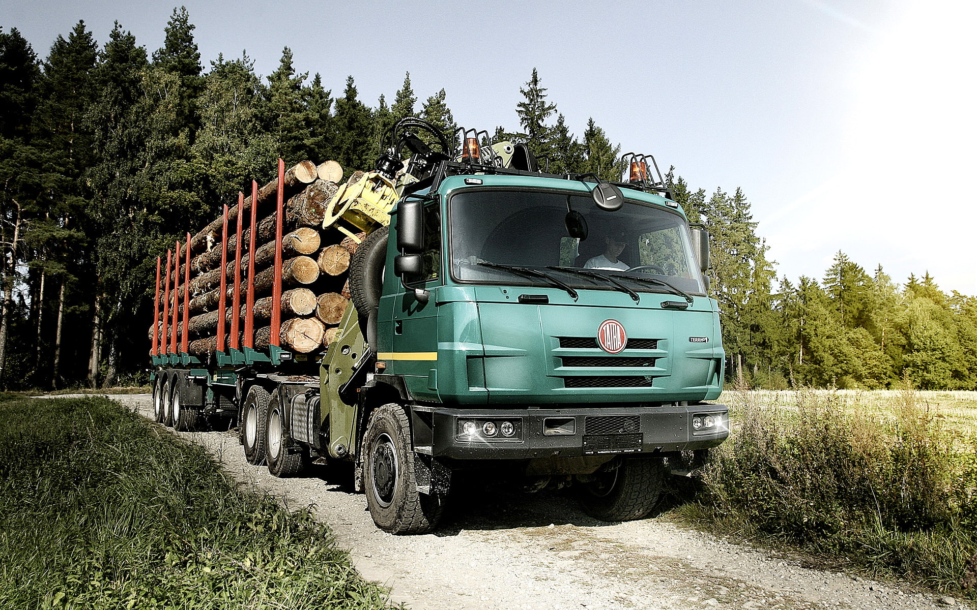 madera, transportation, camion, day, land vehicle, 1080P, motion, outdoors, no people, sunlight, troncos, green color, road, field, motor vehicle, nature, HD Wallpaper