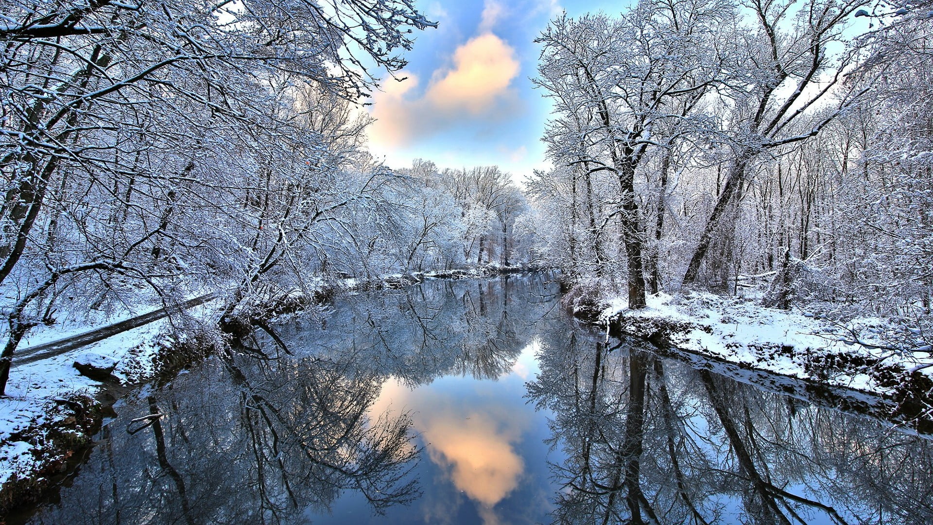 non-urban scene, cold temperature, outdoors, winter, tranquility, bare tree, snow, branch, no people, plant, sky, beauty in nature, 1080P, reflection, HD Wallpaper