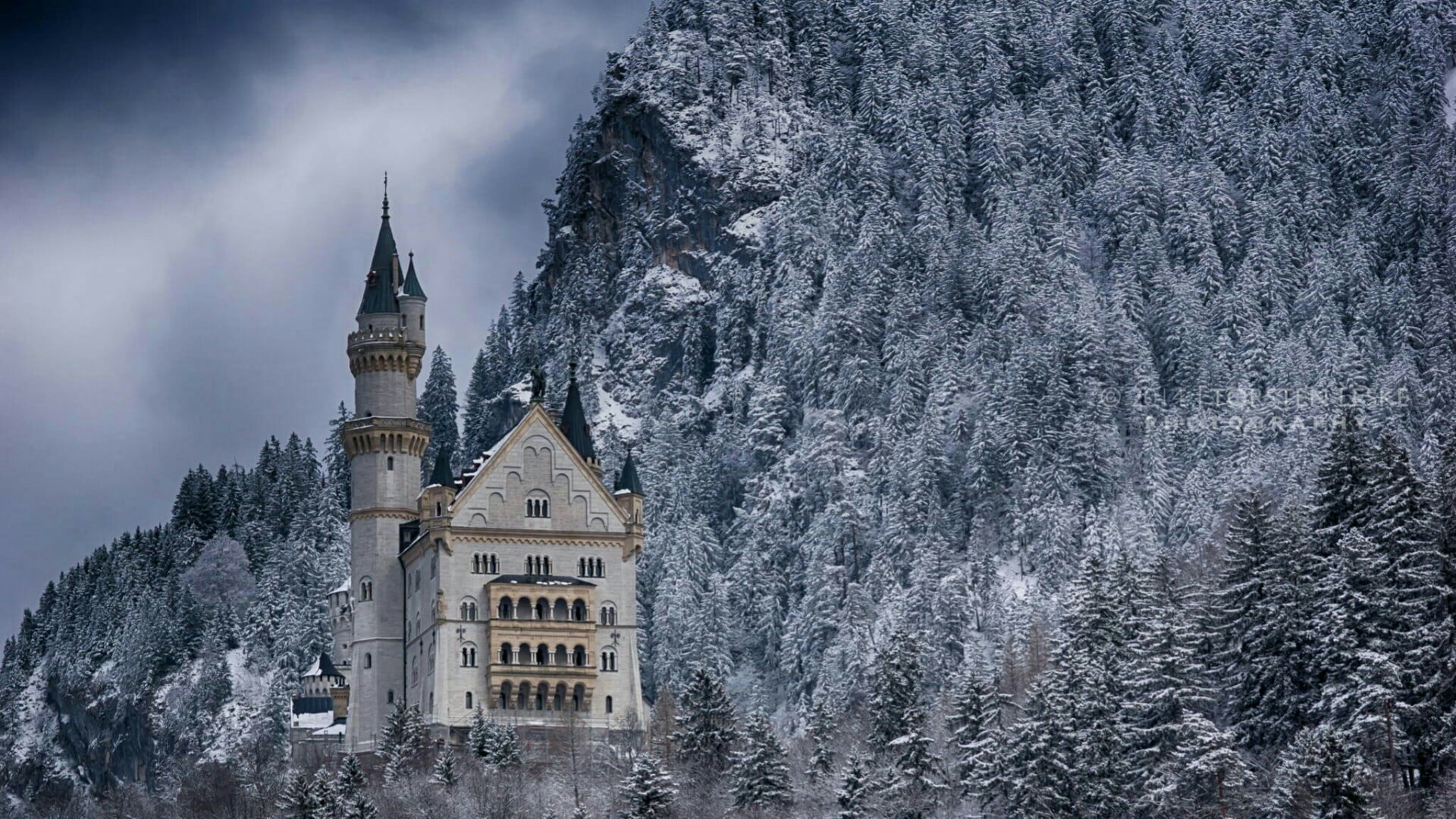 storm, woody plant, gothic style, landmark, religion, architecture, sky, phenomenon, tree, neuschwanstein, built structure, place of worship, snowing, cloud, HD Wallpaper