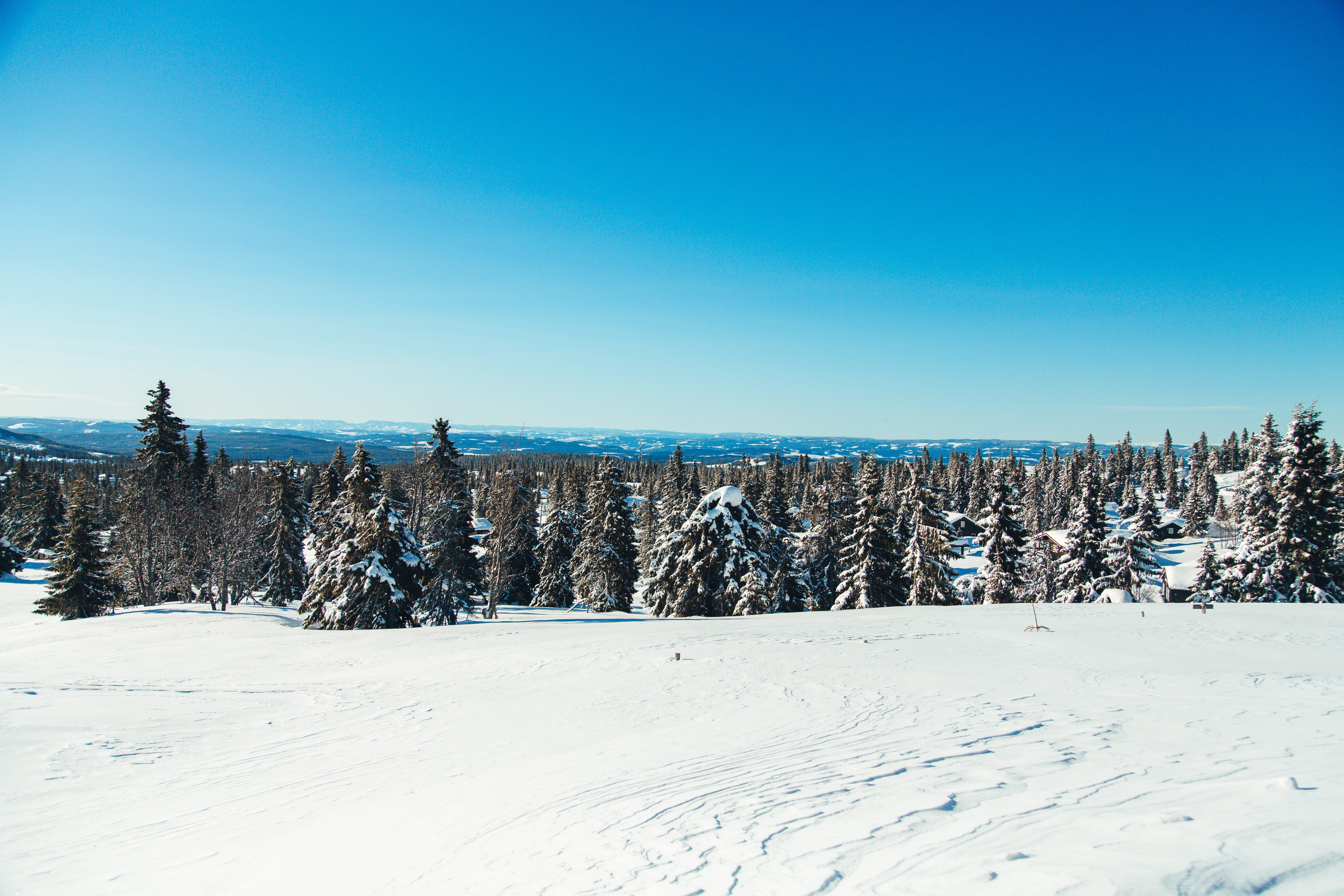 sunshine, winter, bluebird, hill, snowcapped mountain, clear sky, sun, land, covered, horizon, no people, 5K, ice, blue, environment, tranquil scene, snow, HD Wallpaper