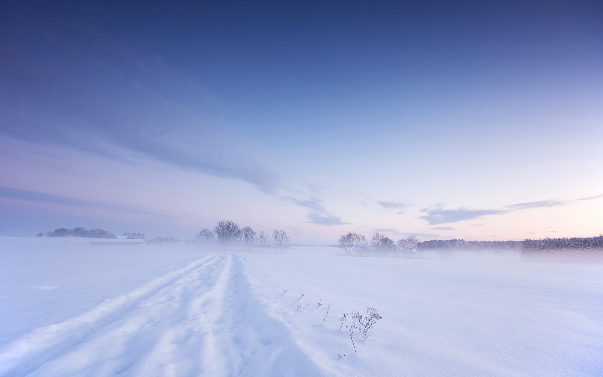 weather, extreme weather, 2K, field, blue, outdoors, sky, dawn, fir Tree, mountain, rural Scene, mist, frozen, forest, scenics - nature, backgrounds, sunset, HD Wallpaper