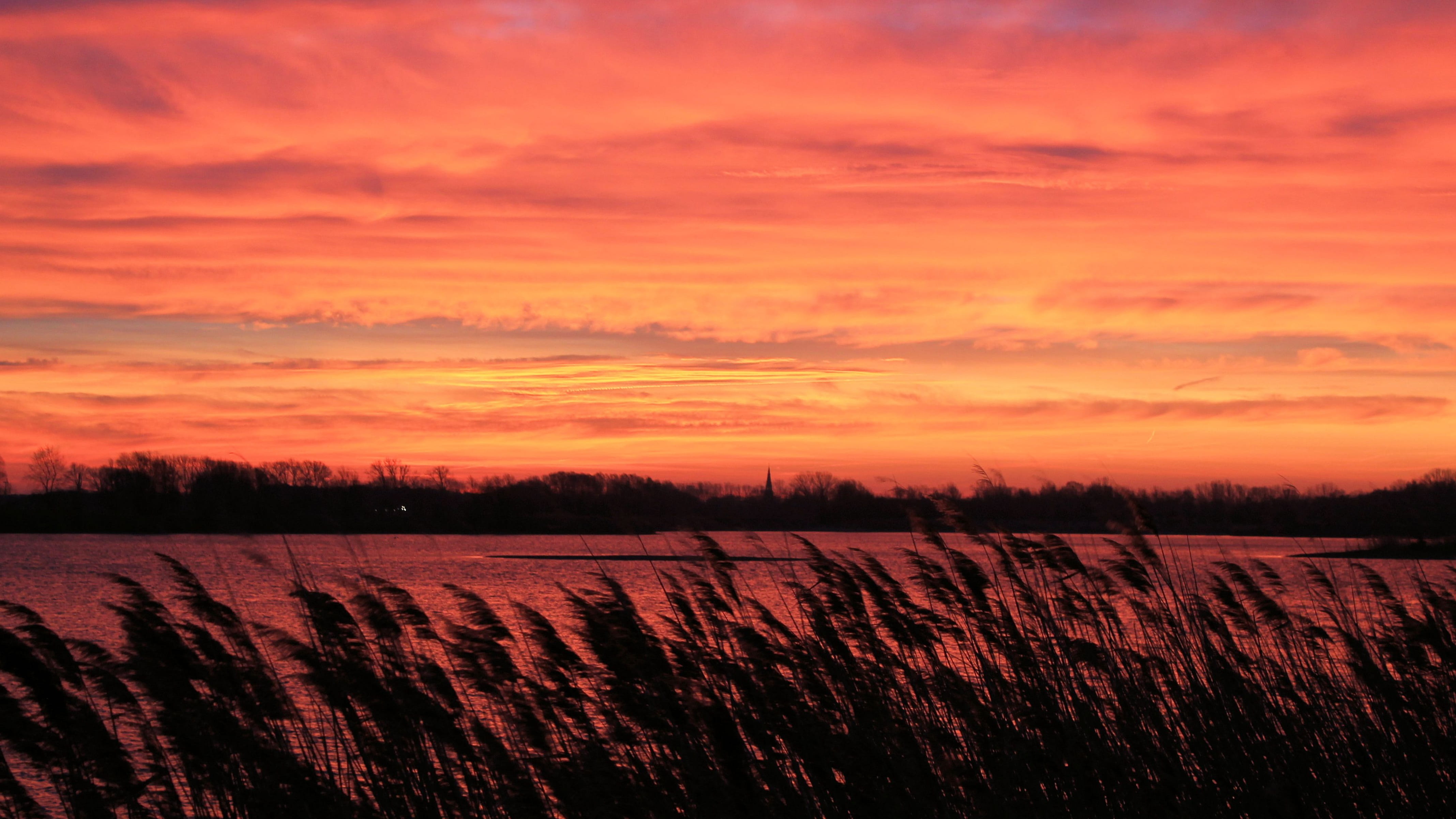 agriculture, prettin, Waters, cloud - sky, silhuette, plant, scenics - nature, beauty in nature, sky, 4K, Trees, Lake, environment, twilight, growth, nature, HD Wallpaper