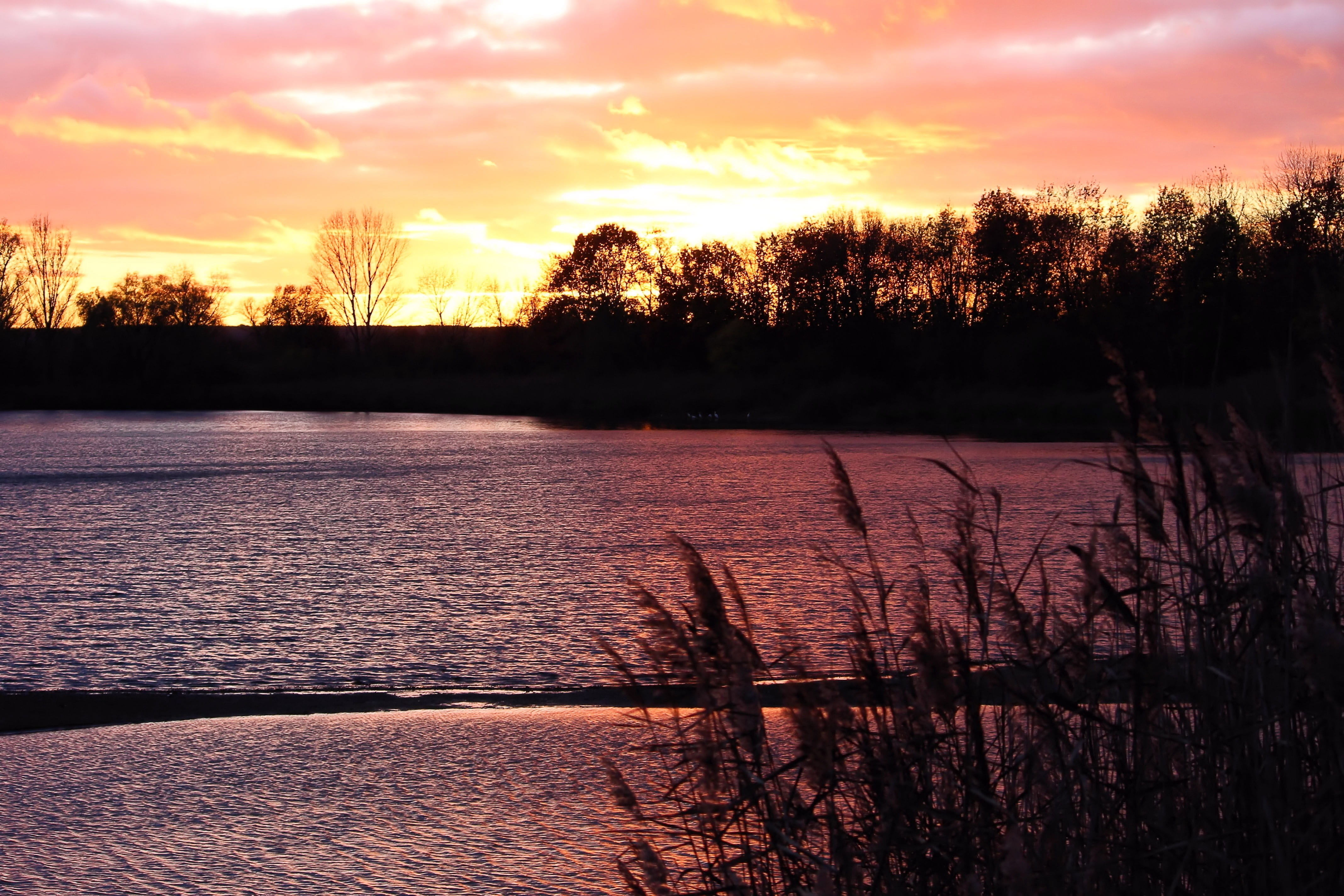 silhuette, cloud - sky, dusk, abendstimmung, nature, lake, beauty in nature, waters, tree, shadow, scenics - nature, plant, water, reflection, tranquil scene, HD Wallpaper