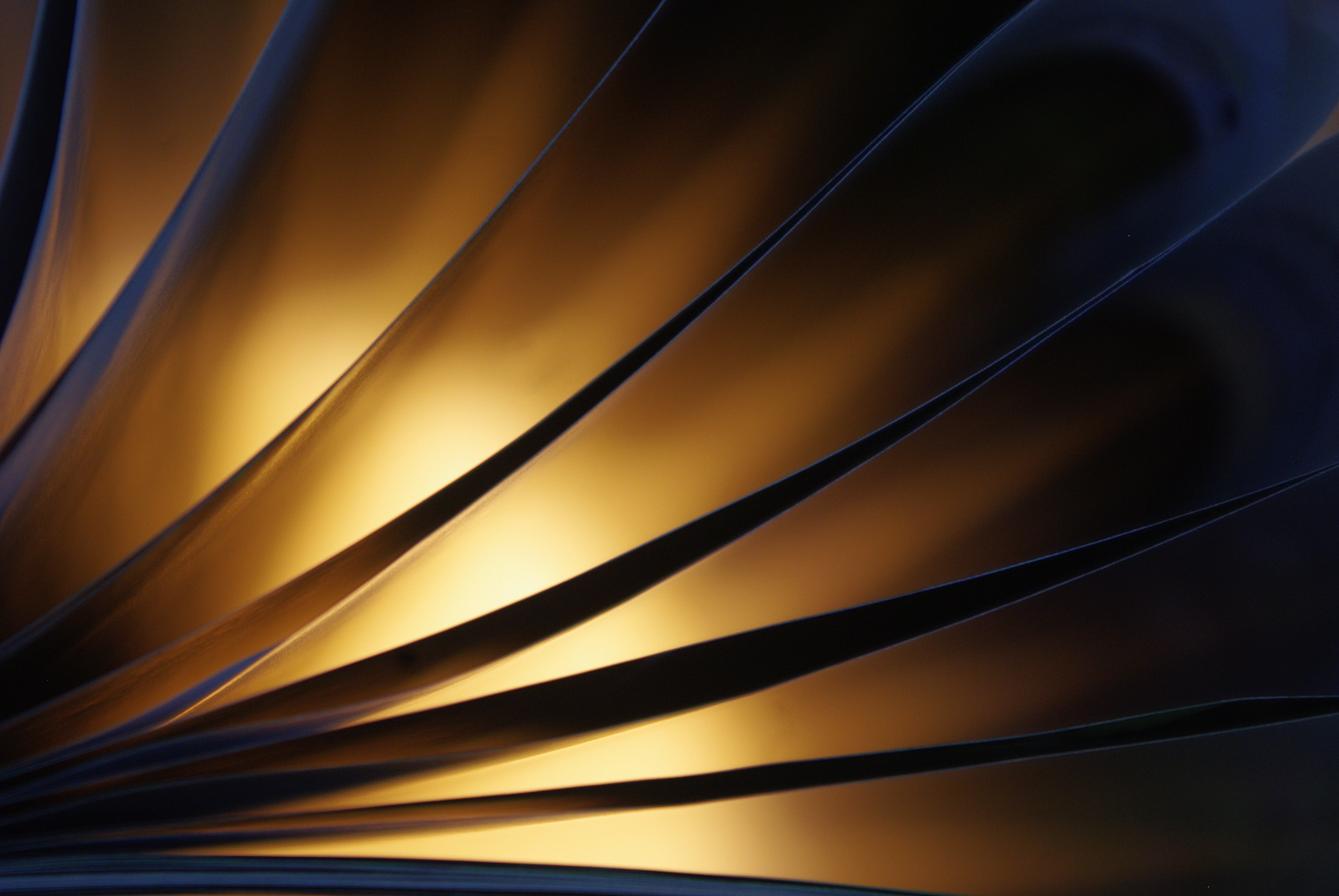 pattern, black color, leaf, abstract backgrounds, silhuette, close, close-up, blue, abstract, softness, yellow, motion, 5K, textured, backgrounds, illustration, HD Wallpaper