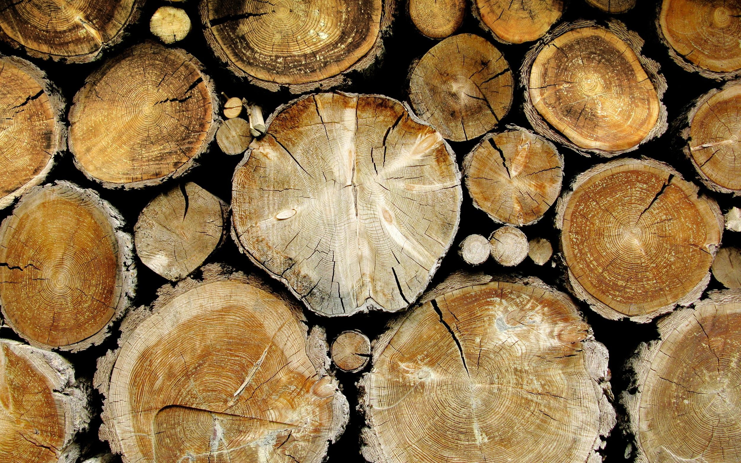 log, brown, trees, 1080P, wood, HD Wallpaper