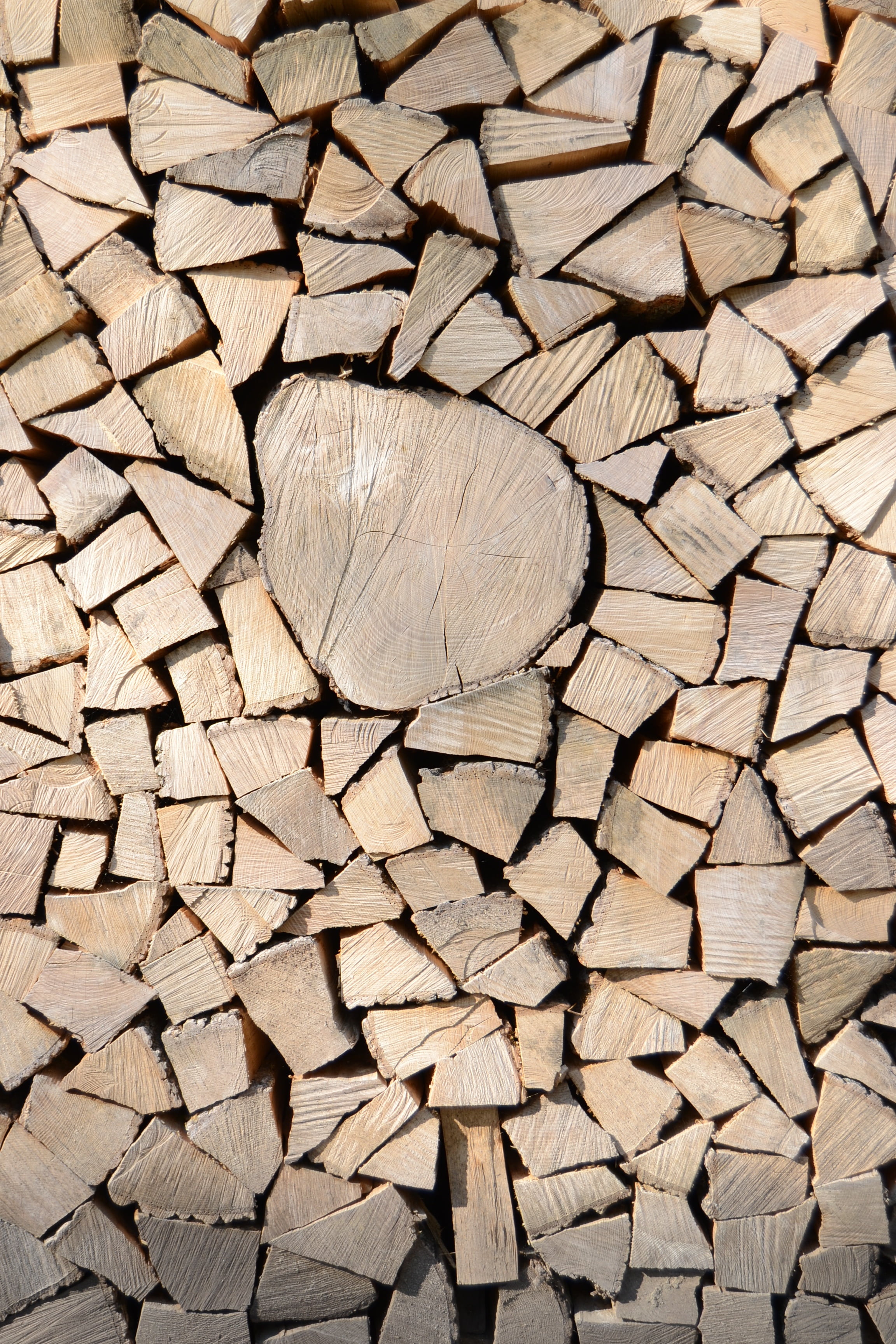 wood grain, holzmaserung, holz, 2K, material, natur, brown, tree ring, timber, chopped, wood - Material, tree, bauholz, wood, schnittholz, deforestation, Phone HD Wallpaper