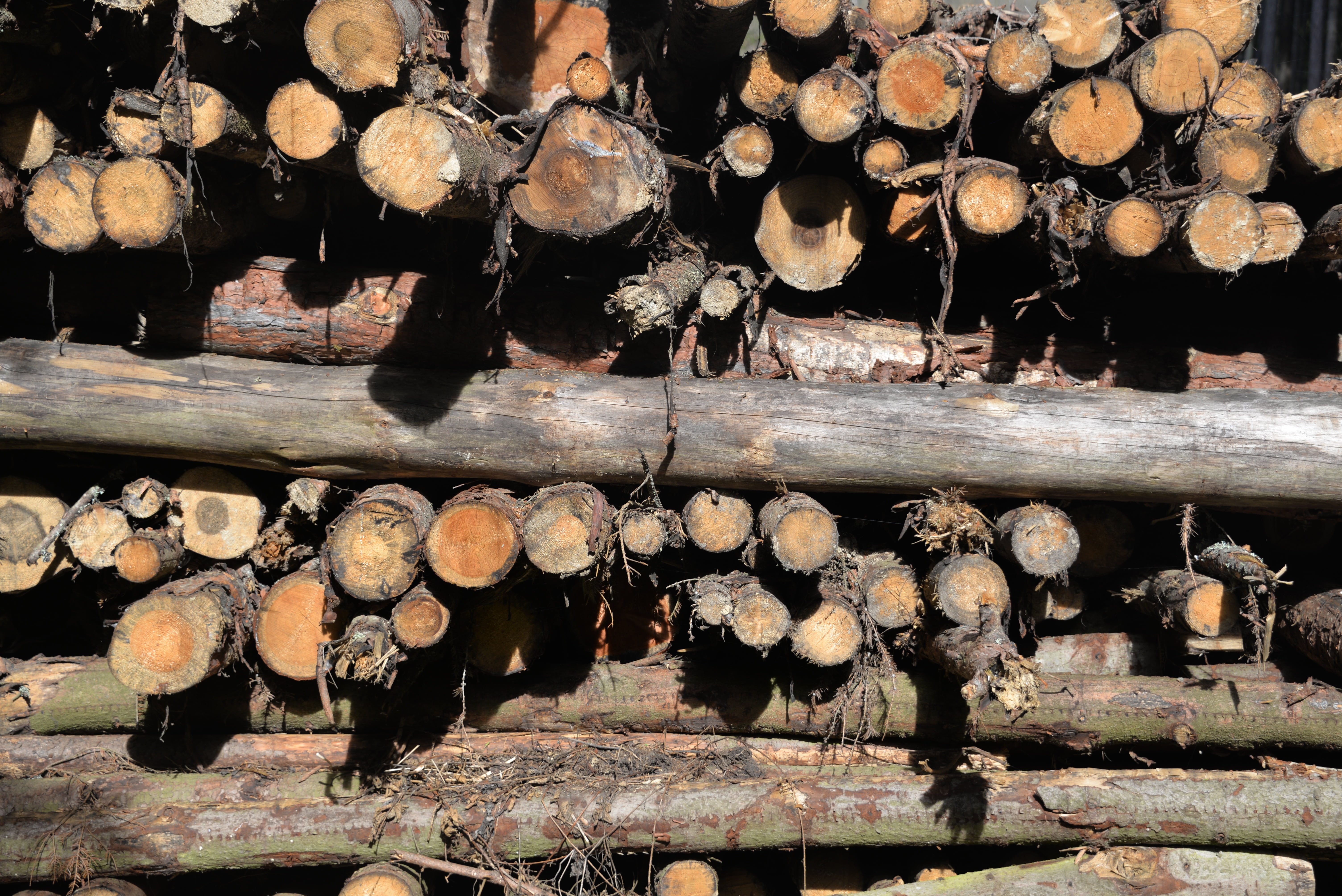 stack, forest, day, timber, material, aesthetic, full frame, tree Trunk, background, woodpile, environmental issues, rustic, abundance, wood - Material, HD Wallpaper