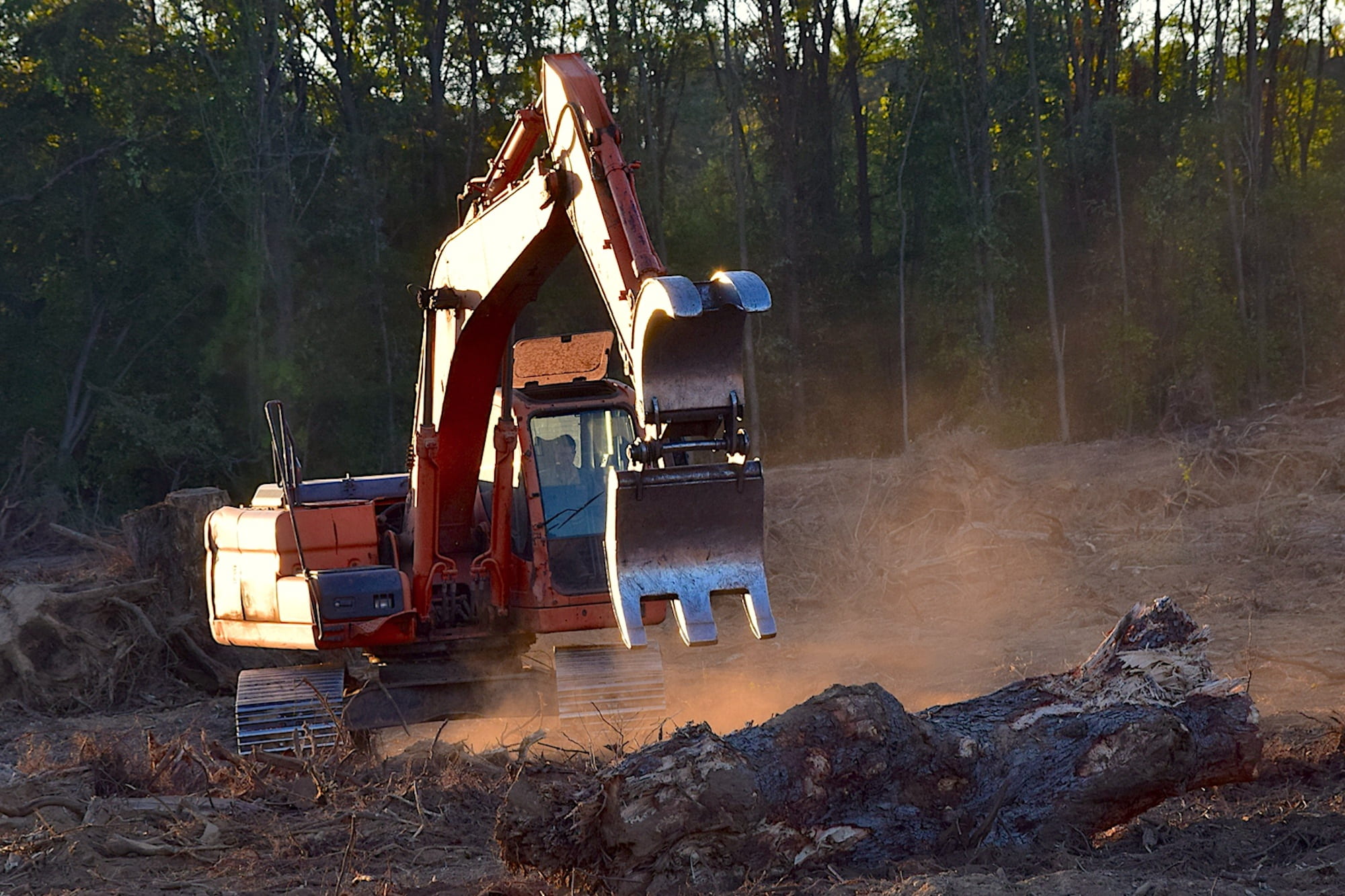 lumber, equipment, excavator, tree, forest, plant, land, machinery, machine, sunlight, industrial, construction machinery, forestry, construction, land vehicle, HD Wallpaper