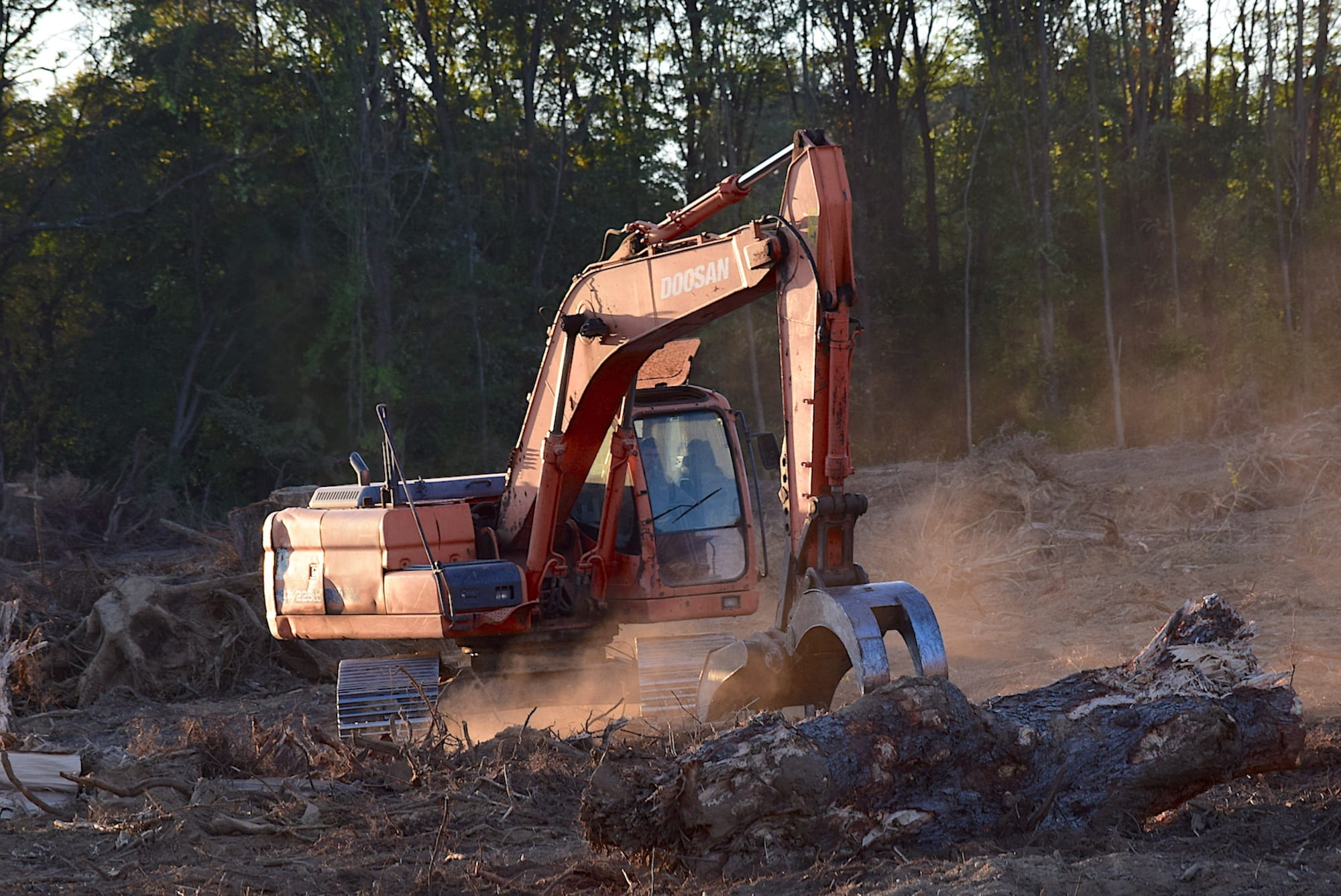 transportation, construction equipment, dust, industry, forest, deforestation, environment, construction industry, logging, industrial equipment, lumber, HD Wallpaper