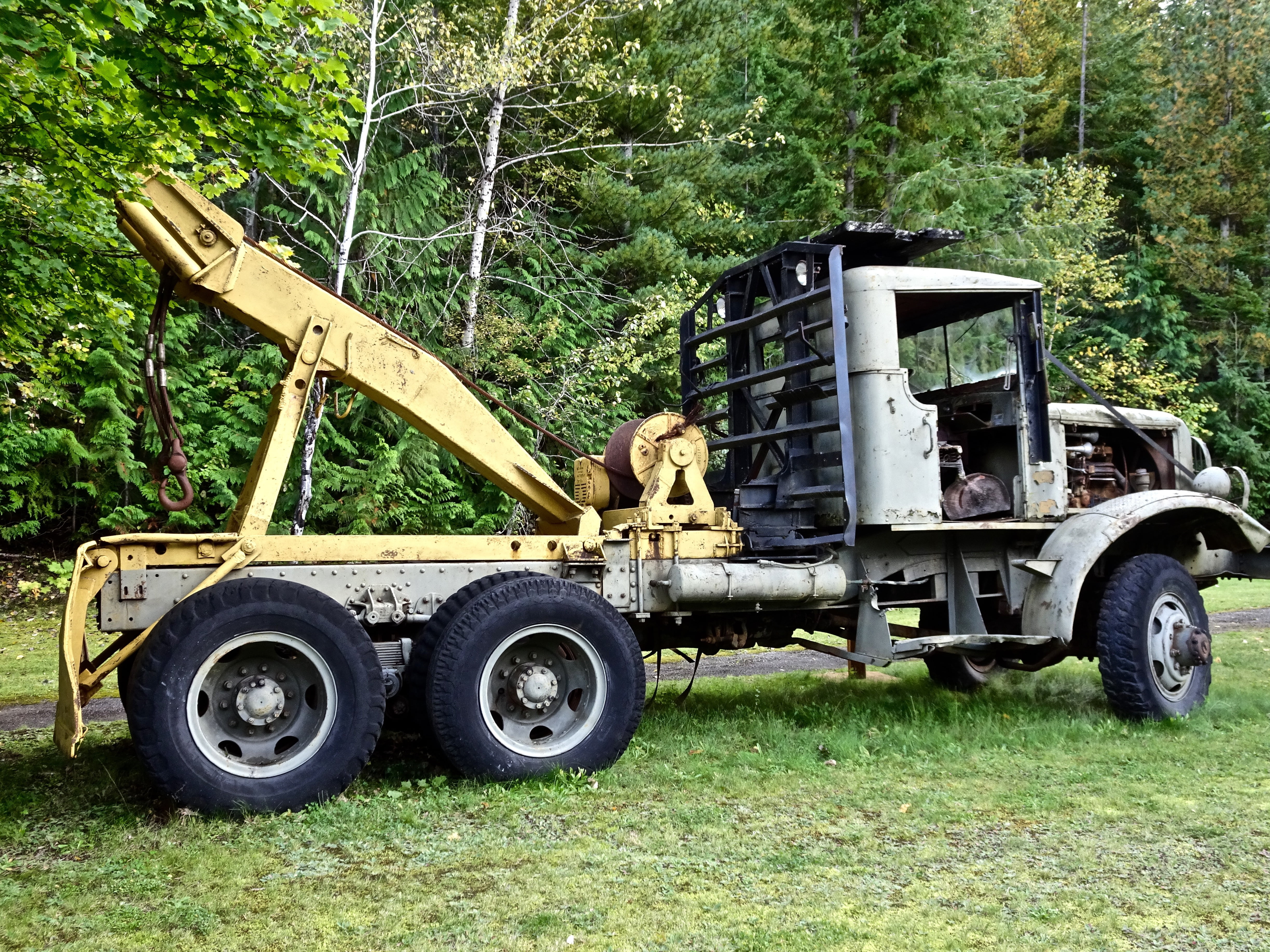 trailer, growth, transportation, obsolete, forestry, 4K, outdoors, damaged, moving, pile, machinery, day, nature, plant, deterioration, log truck, forest, HD Wallpaper