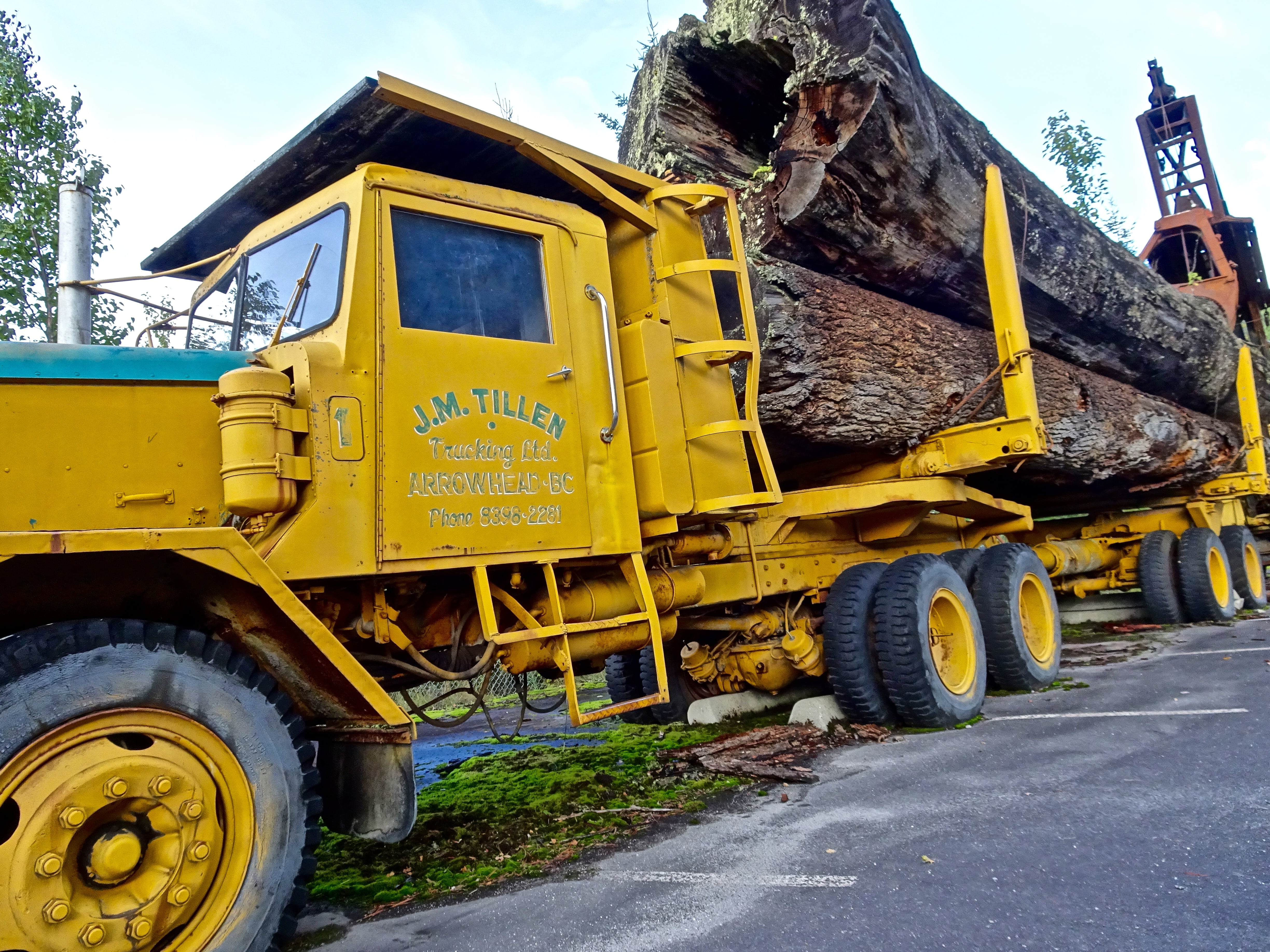 construction Industry, nature, outdoors, forestry, bulldozer, day, land Vehicle, pile, wheel, log truck, construction vehicle, machine, yellow, wood, lorry, HD Wallpaper