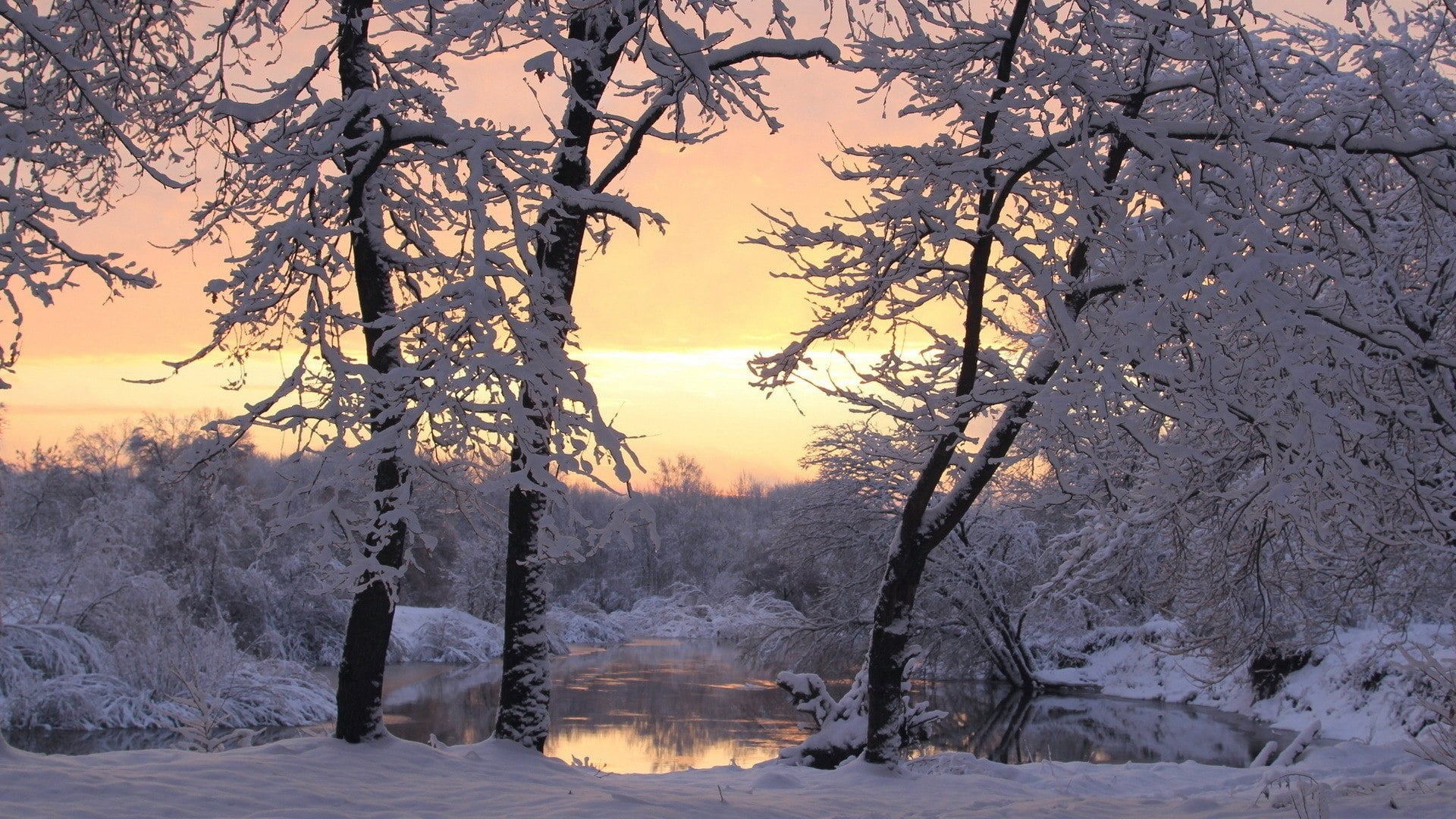 tree, meadow, sun, environment, outdoor, tranquil scene, silhouette, land, horizon, frozen, no people, tranquility, snow, trees, countryside, sunset, plant, HD Wallpaper