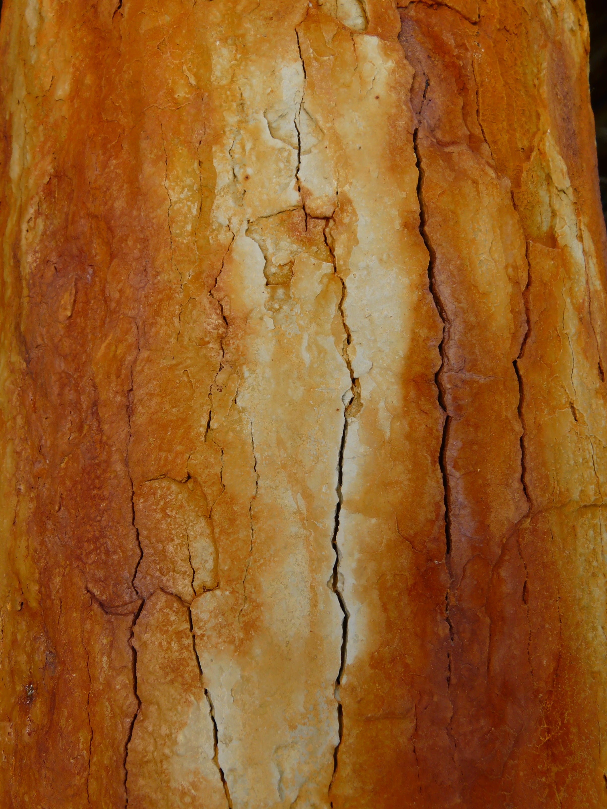 time, tree Trunk, decline, corrosion, abstract backgrounds, auburn, pattern, built structure, backgrounds, rusted, textured, full frame, indoors, no people, Phone HD Wallpaper