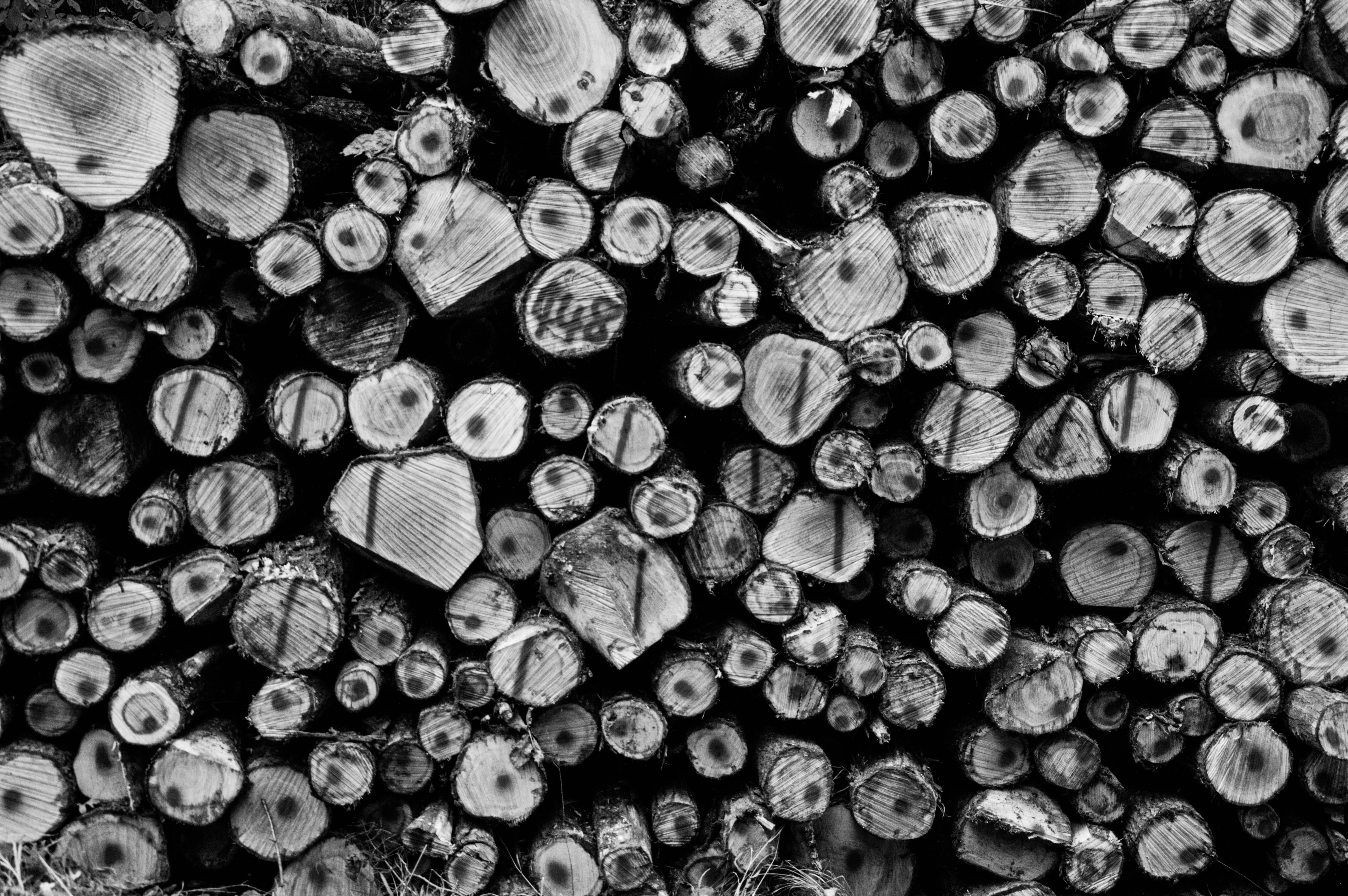 fire, like, 5K, stock, bark, holzstapel, tower, abundance, pile of wood, wood stack, strains, fuel and power generation, deforestation, large group of objects, HD Wallpaper