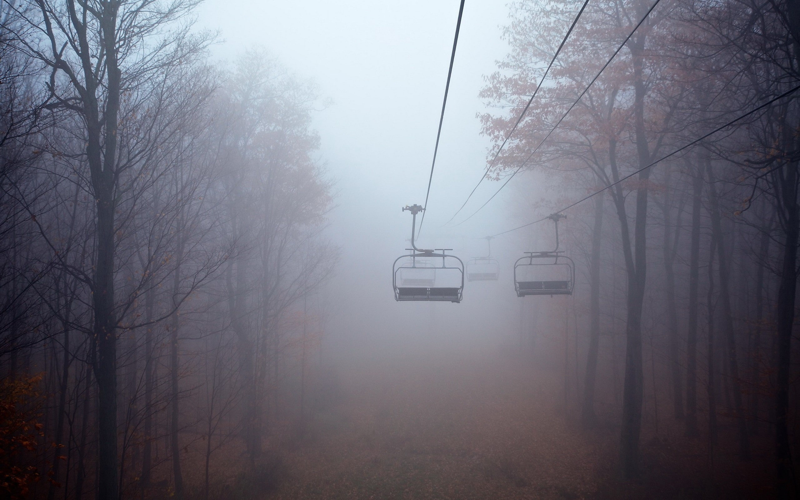 trees, landscape, cable cars, fall, mist, Aspen, 2K, forest, HD Wallpaper