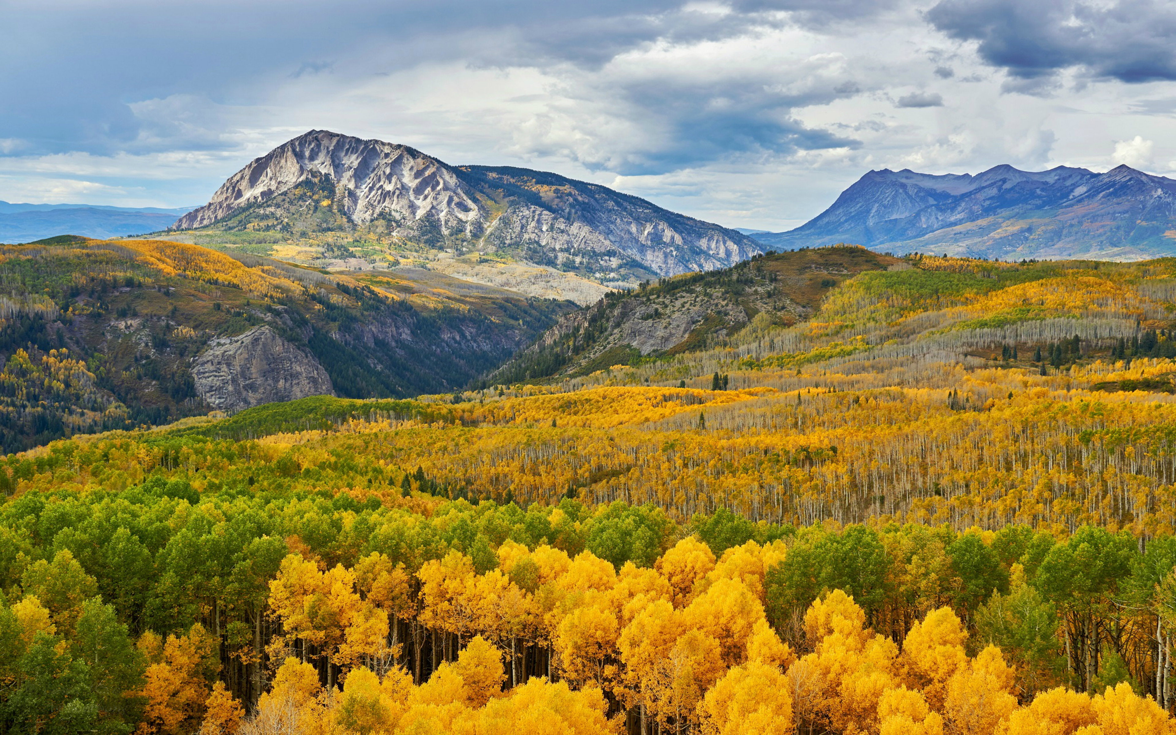 desktop, trees, 4K, america, tv, pass, colorado, hd, states, mobile, kebler, laptop, aspens, tablet, phones, united, ultra, forest, k, HD Wallpaper