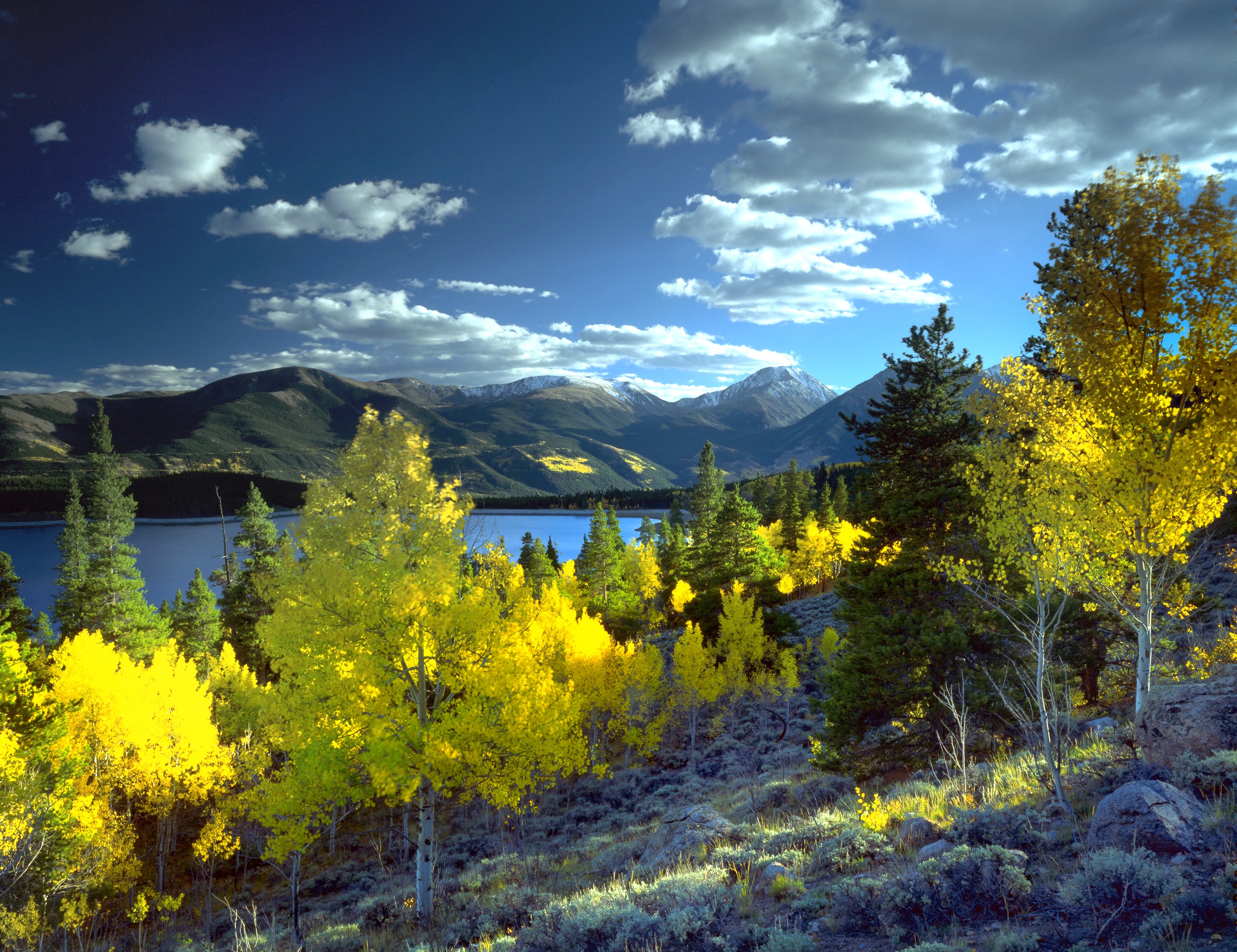 idyllic, scenics - nature, plant, aspen, tranquility, land, leafed, sky, nature, cloud - sky, twin lakes, scenics, blue, growth, photography, beauty in nature, HD Wallpaper