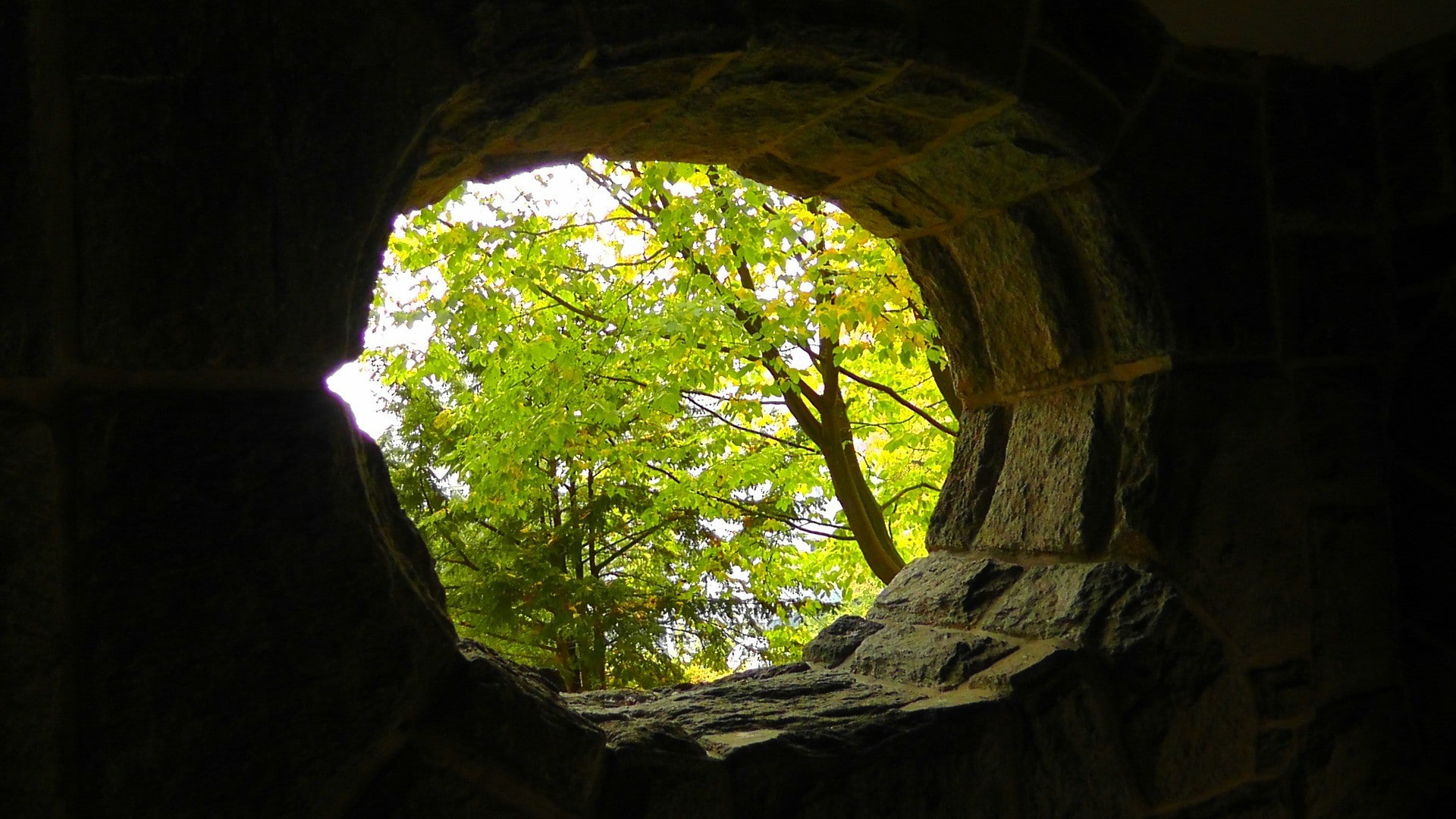 1080P, bricks, wall, trees, leaves, daylight, hole, HD Wallpaper