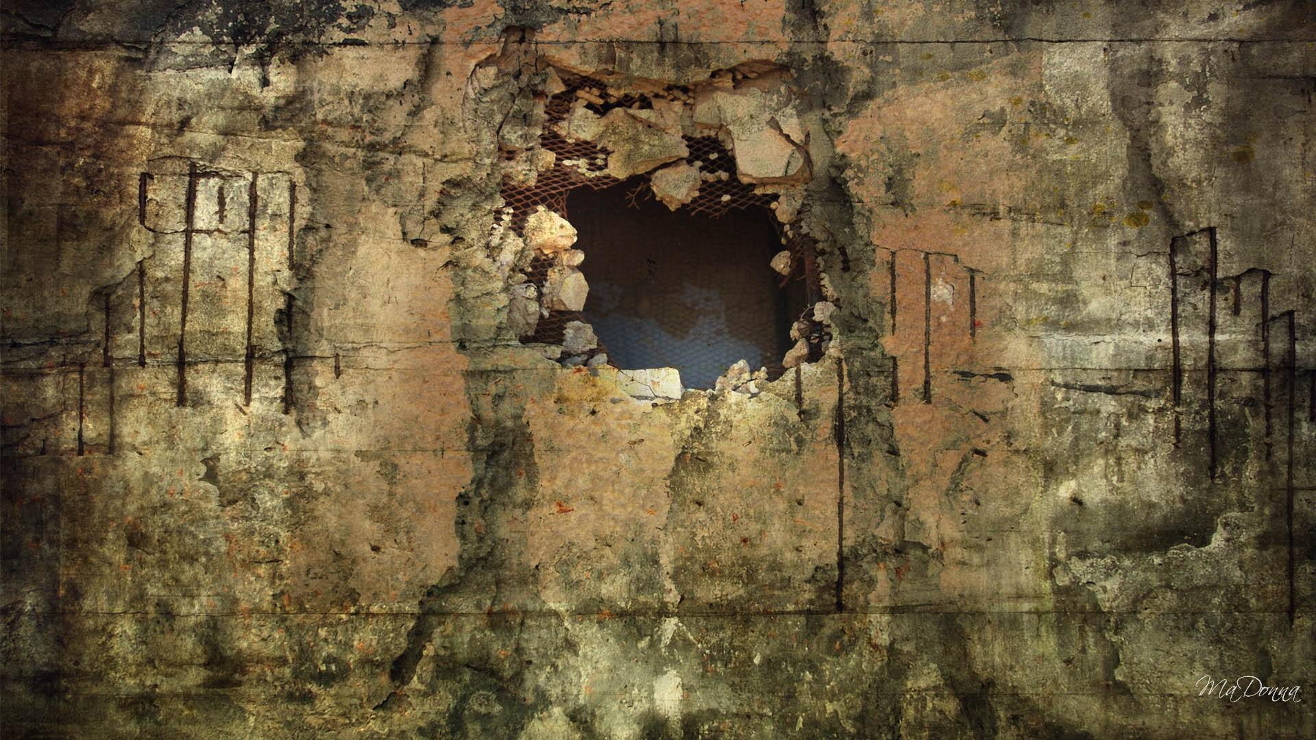 vintage, dirty, grunge, firefox persona, 1080P, animals, wall, hole, HD Wallpaper